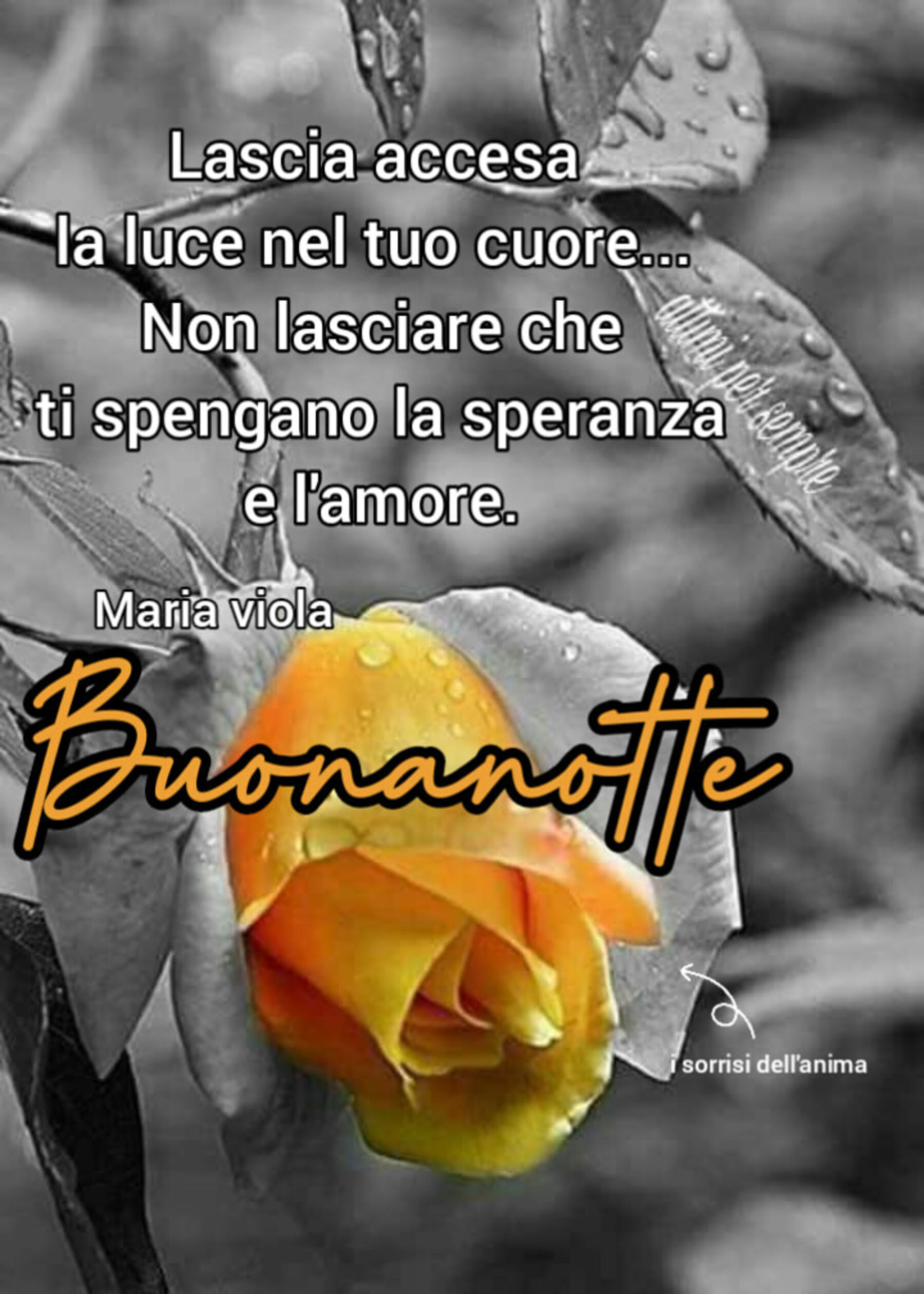 Buonanotte amici 3