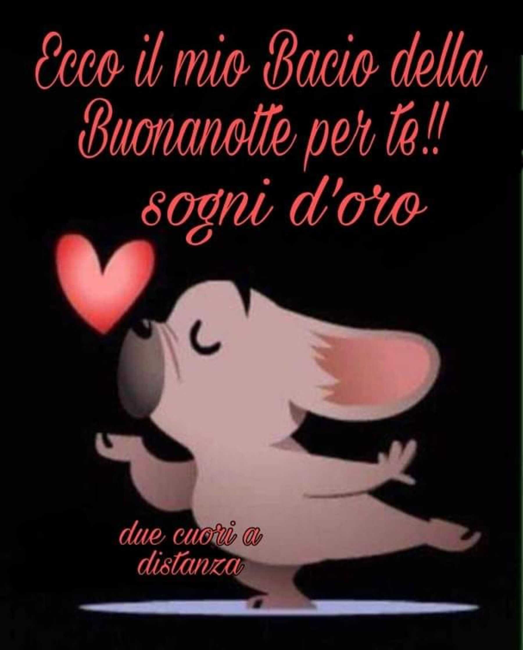 Buonanotte amici 7