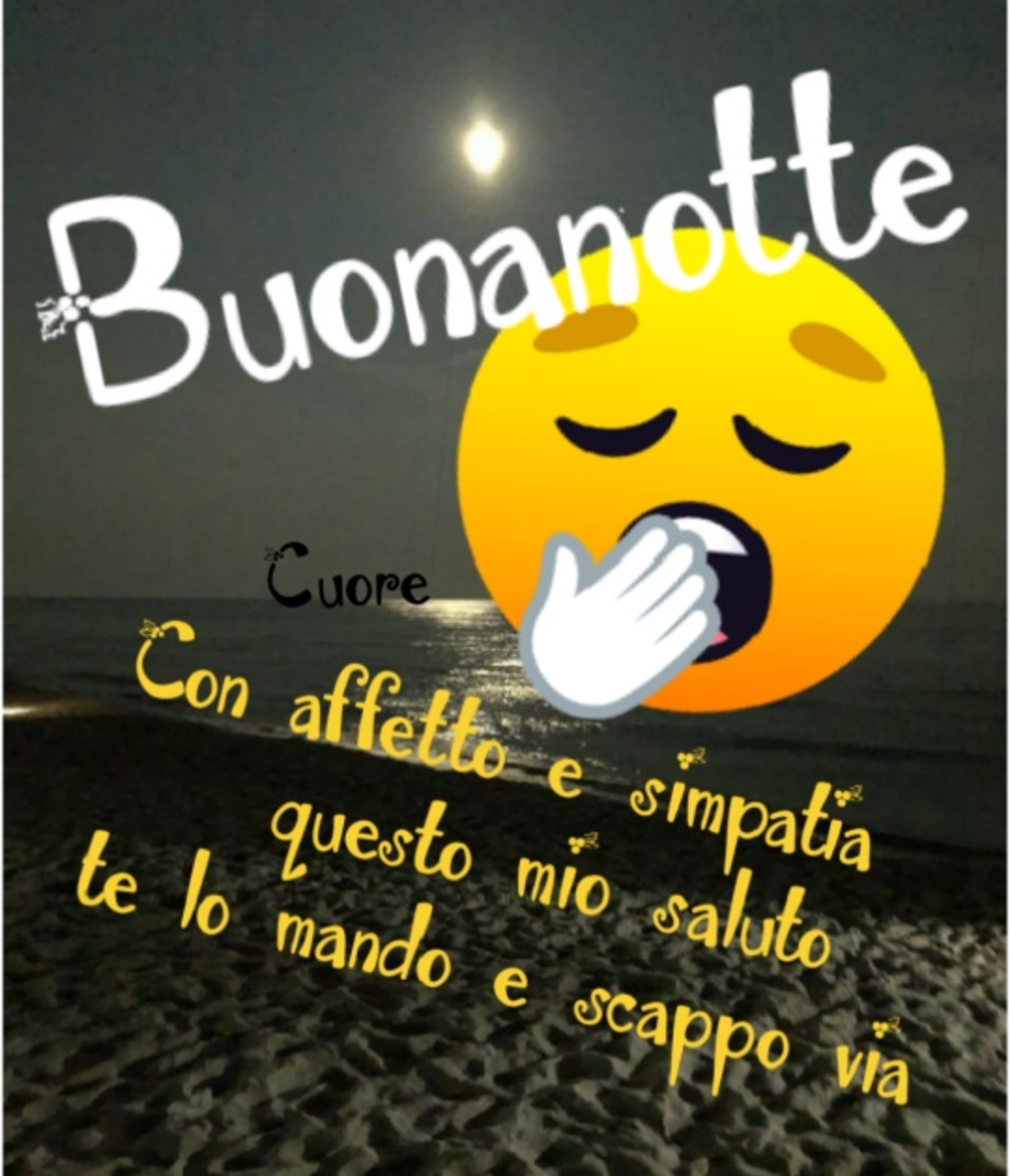 Buonanotte con affetto e simpatia questo mio saluto te lo mando e scappo via