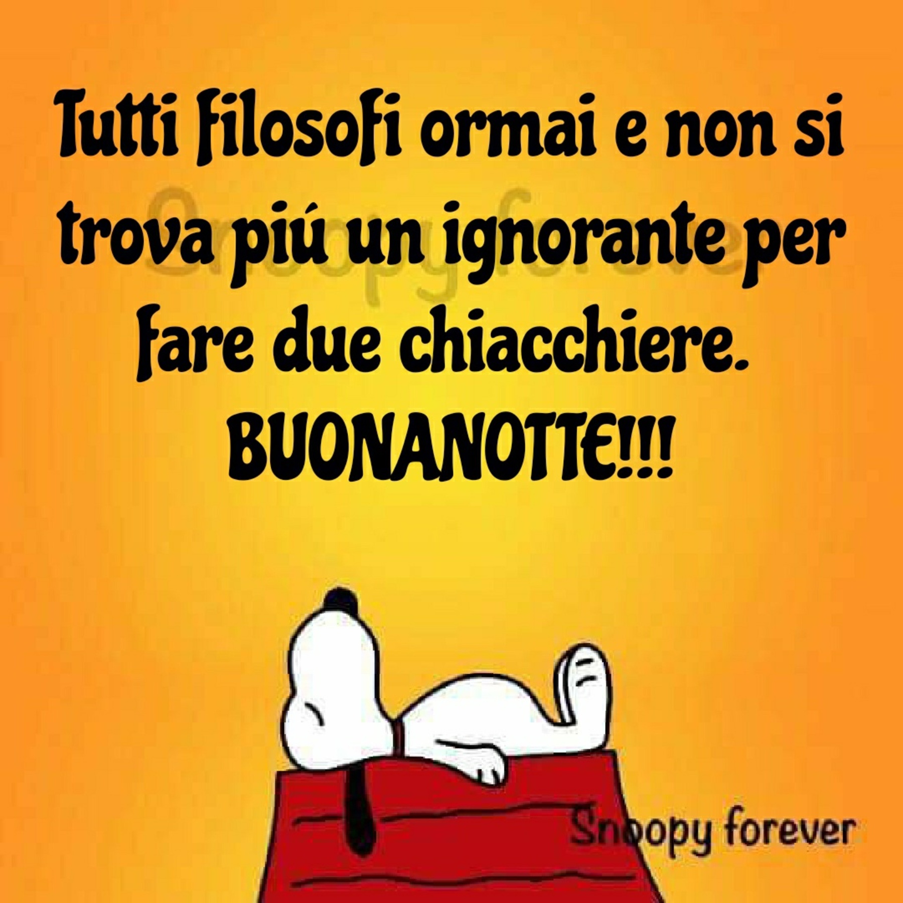 Buonanotte da Snoopy (2)