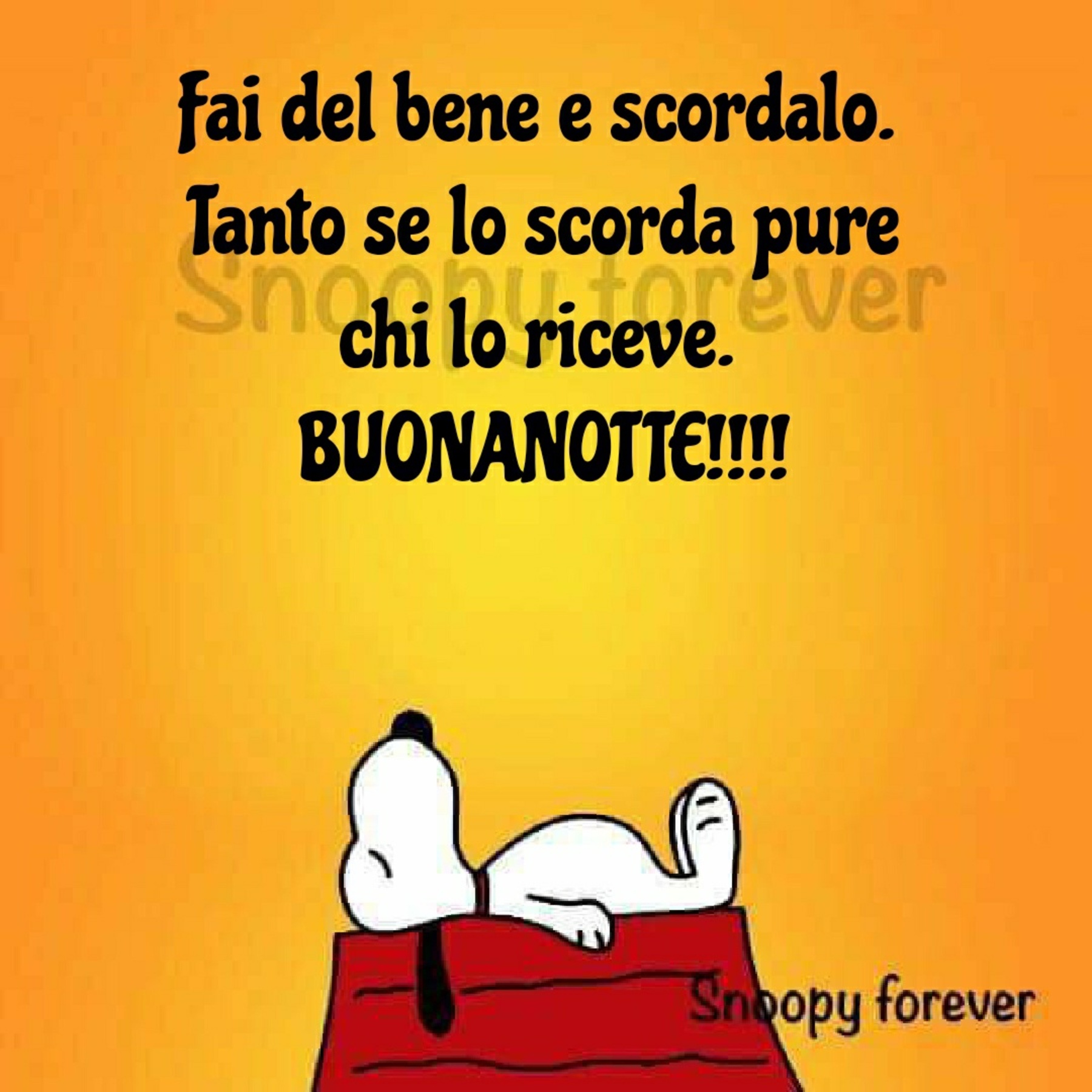 Buonanotte da Snoopy (6)