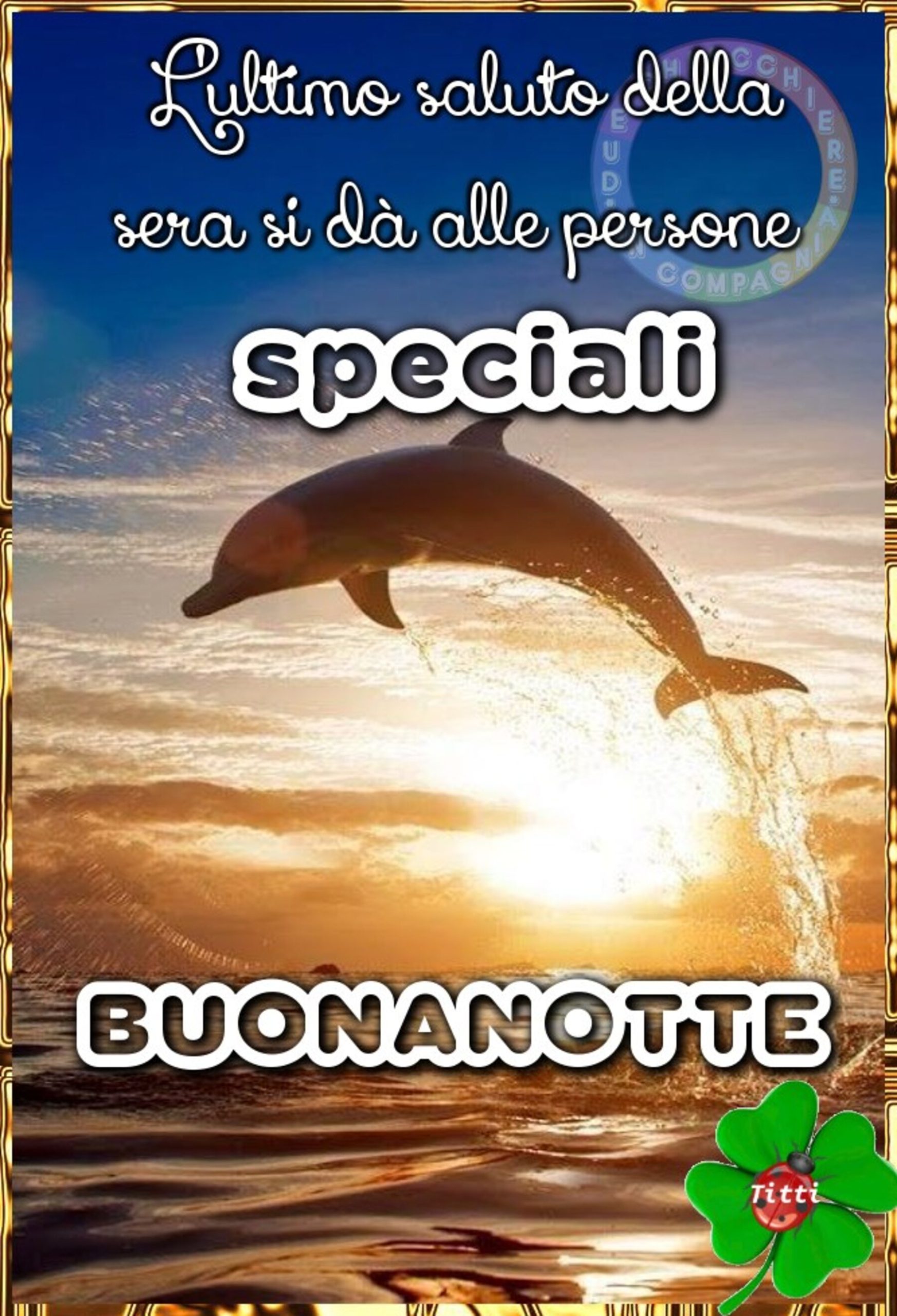 Buonanotte delfino