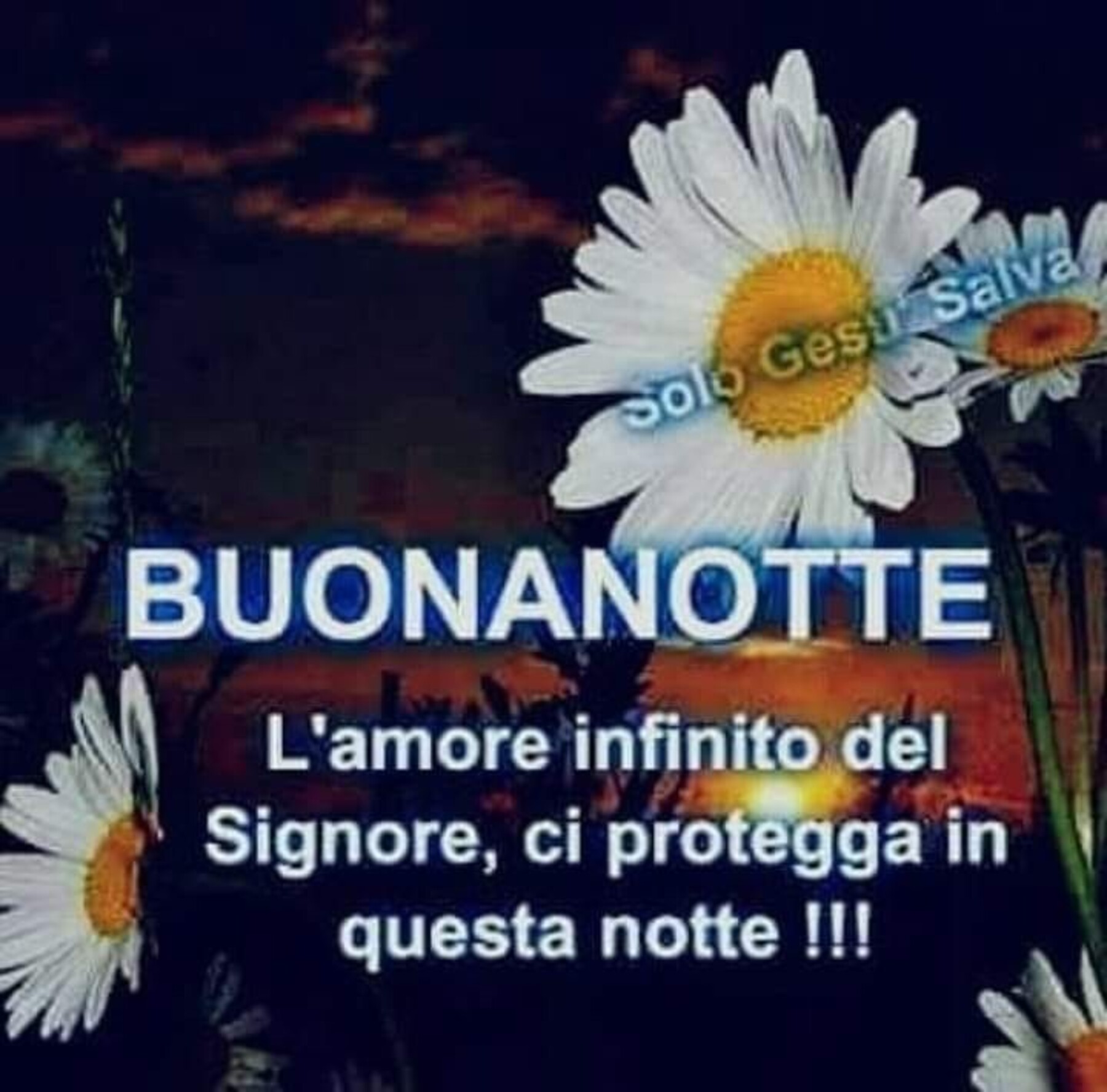 Buonanotte l’amore infinito del Signore ci protegga in questa notte