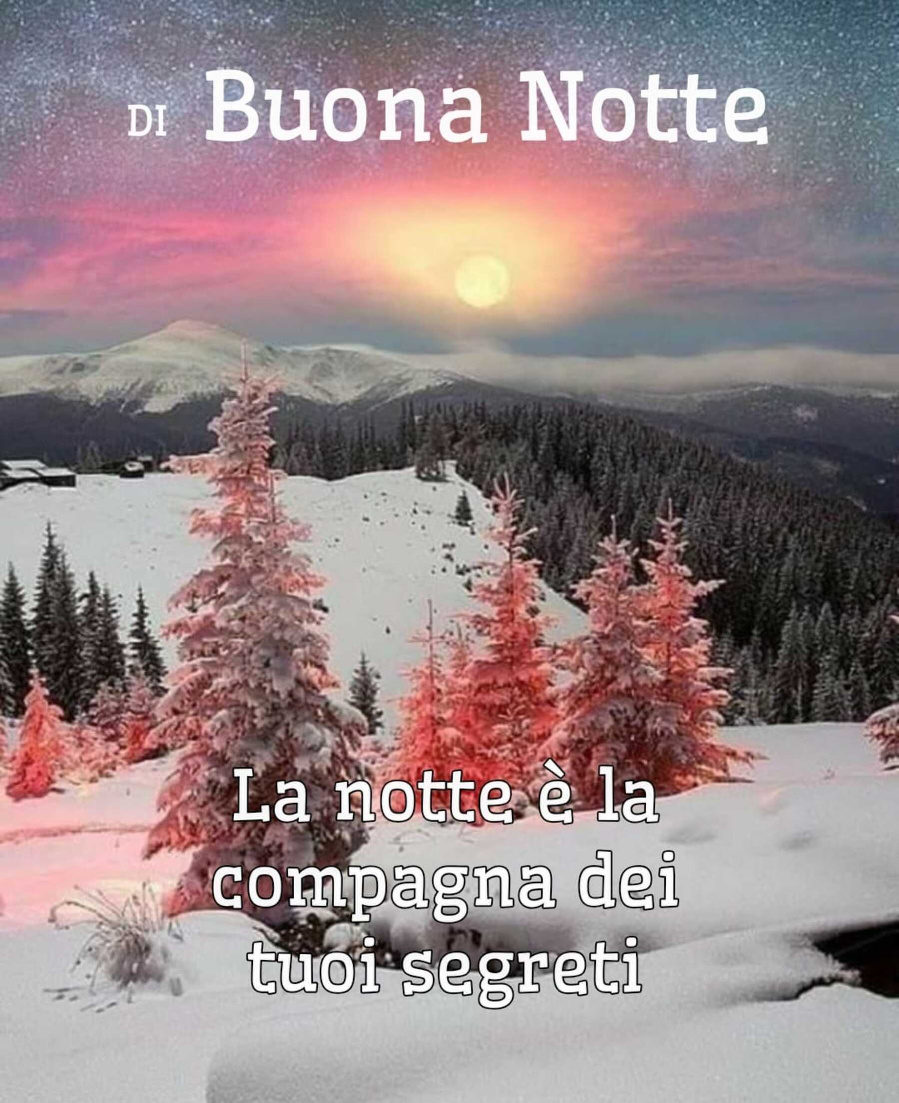 Buonanotte neve