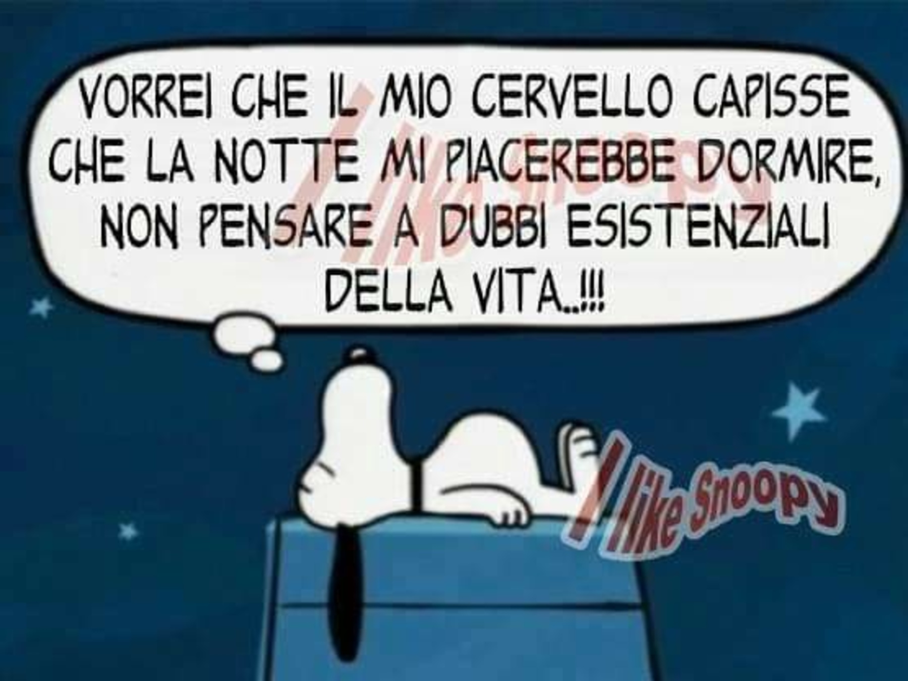 Buonanotte speciale 11