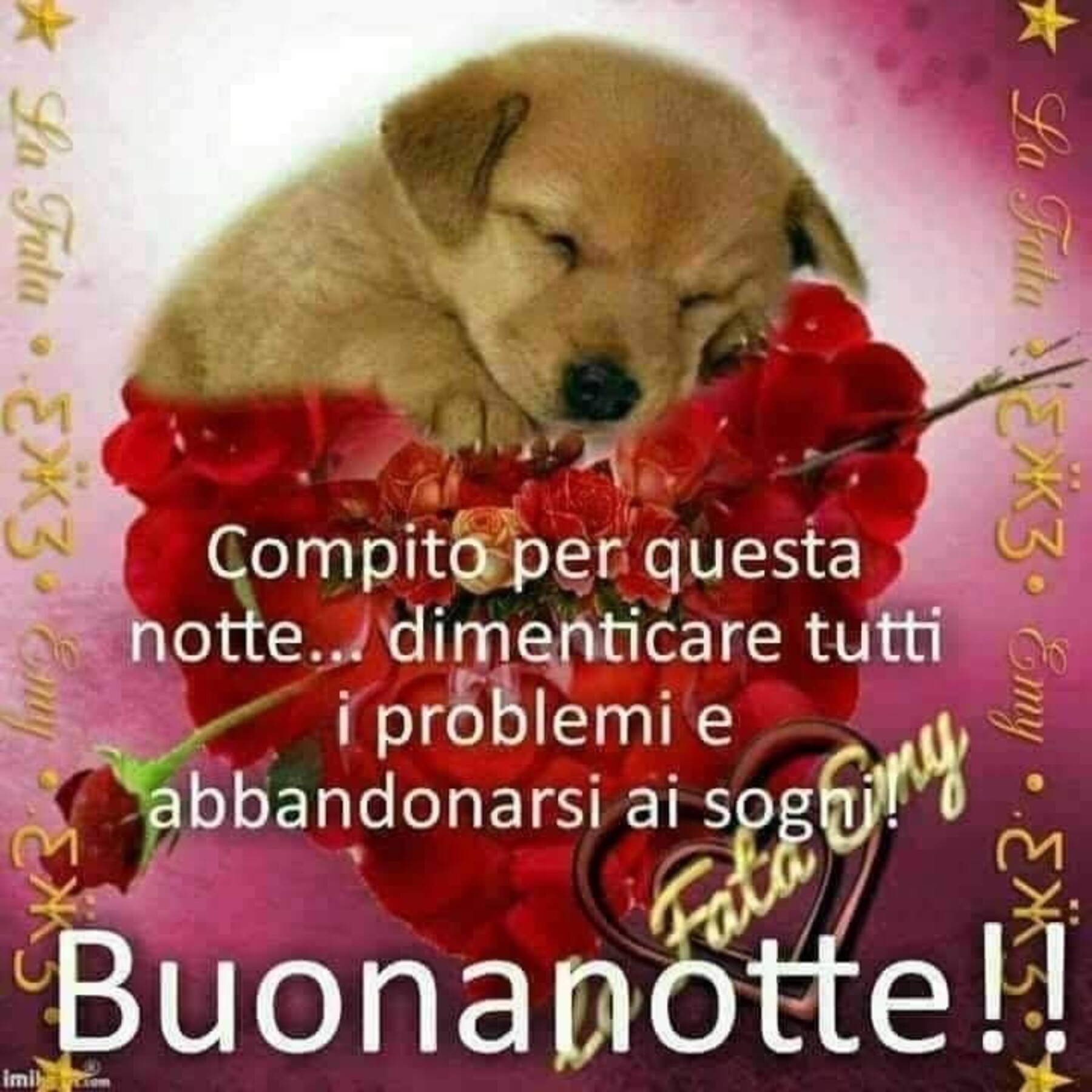 Compito per questa notte dimenticare tutti i problemi e abbandonarsi ai sogni buonanotte