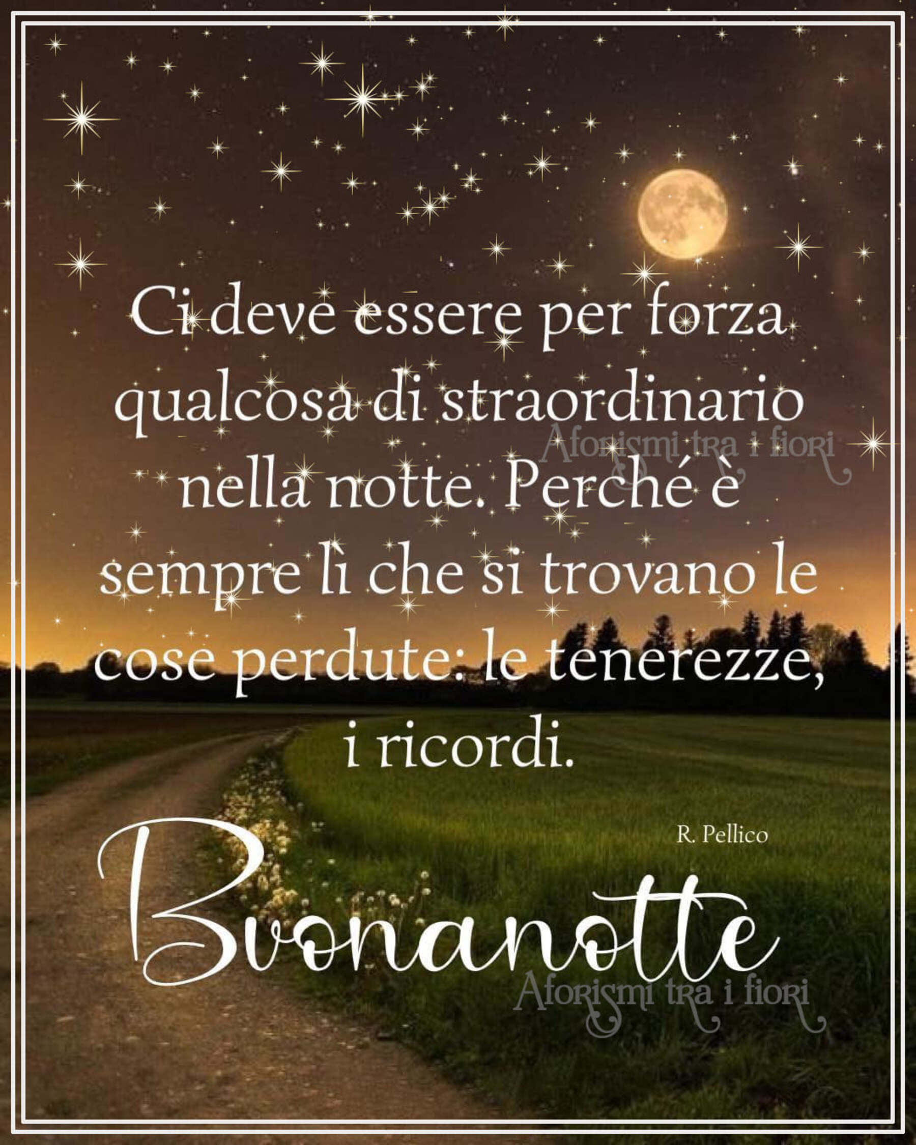 Dolce Notte dal mio cuore a domani 1