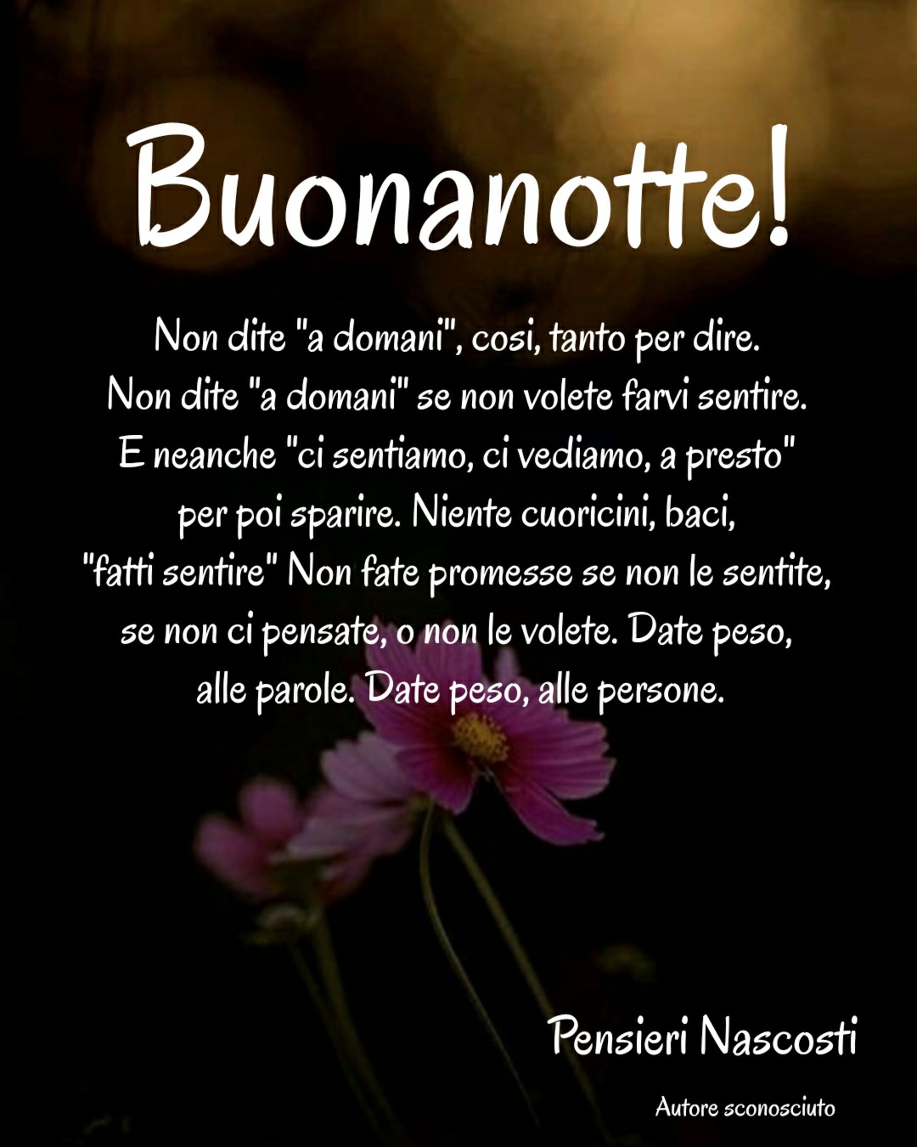 Dolce Notte dal mio cuore a domani 7