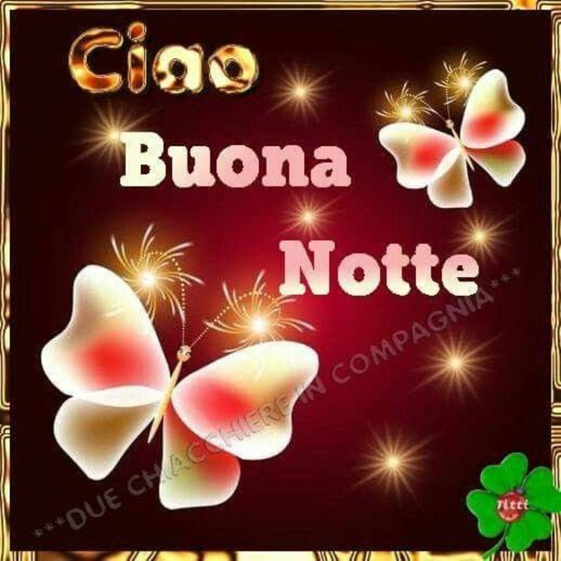 Dolcissima Notte 11