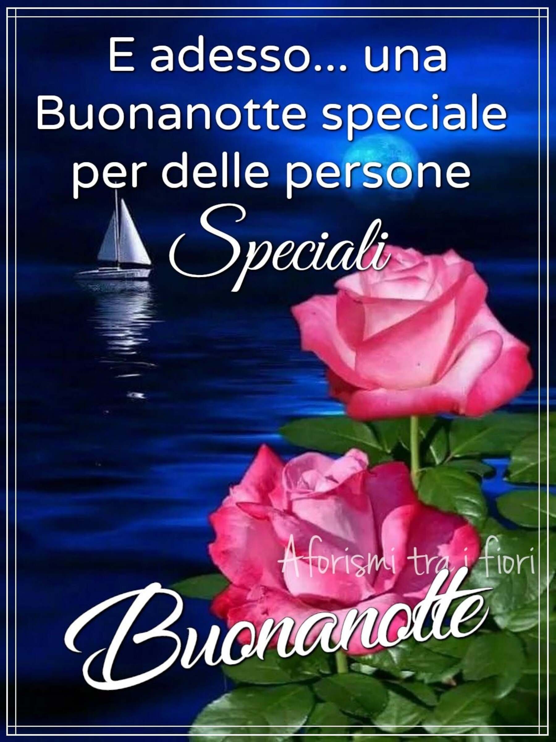 E adesso una buonanotte speciale per delle persone speciali buonanotte