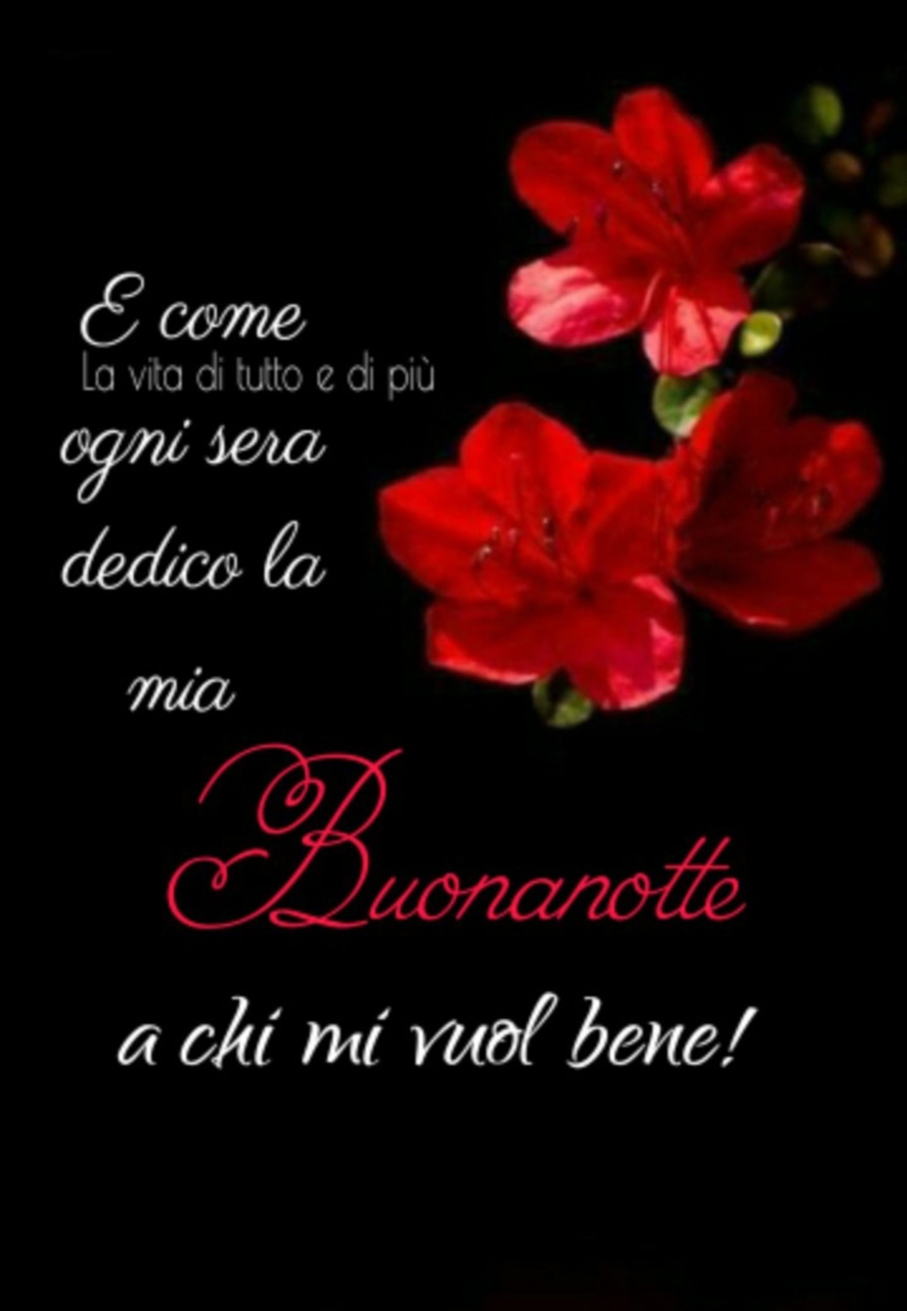 E come ogni sera dedico la mia buonanotte a chi mi vuole bene