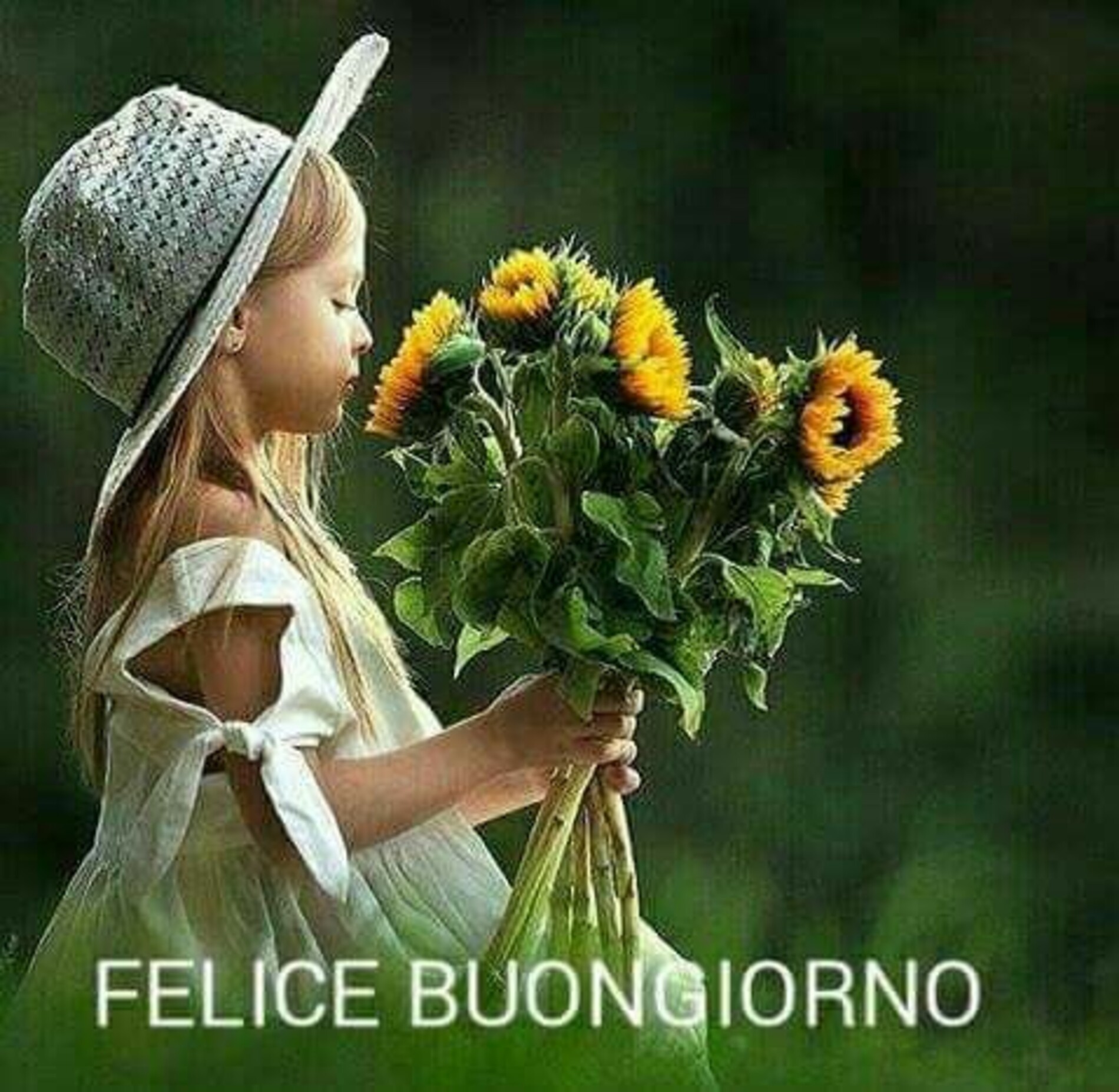 Felice buongiorno