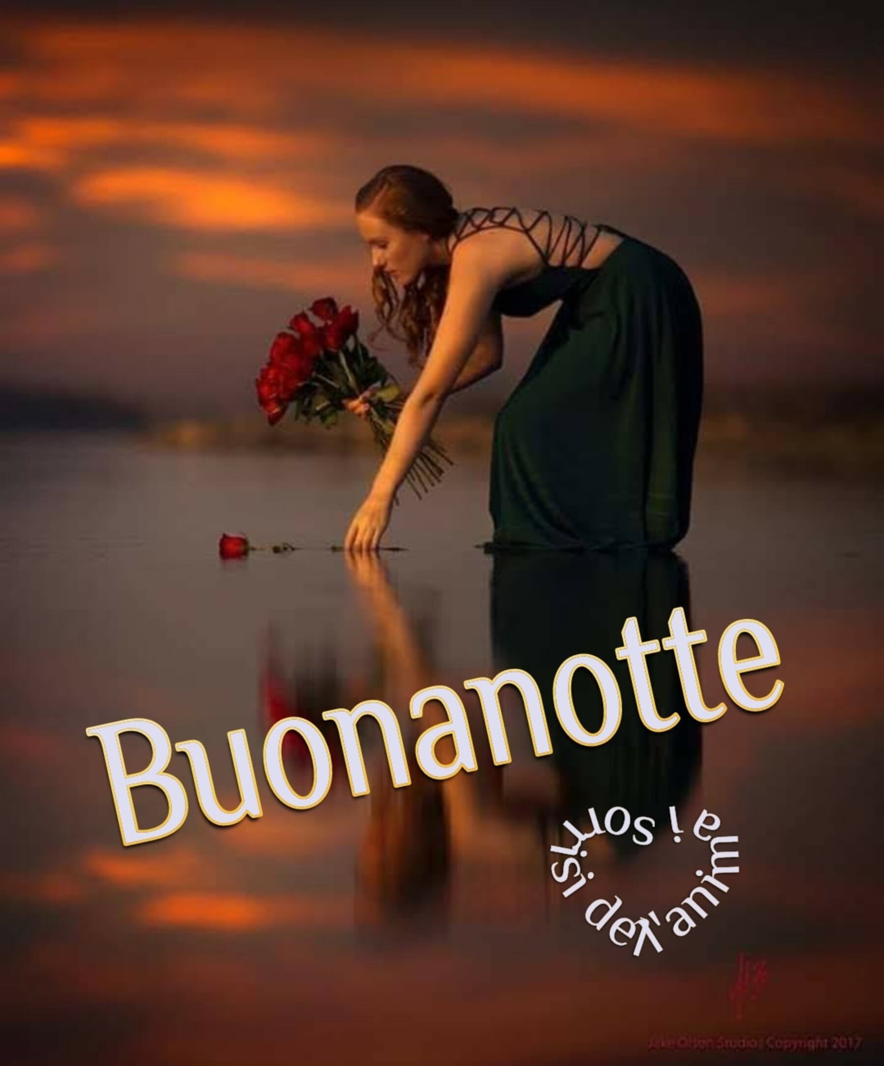 Foto della buonanotte per Telegram 6