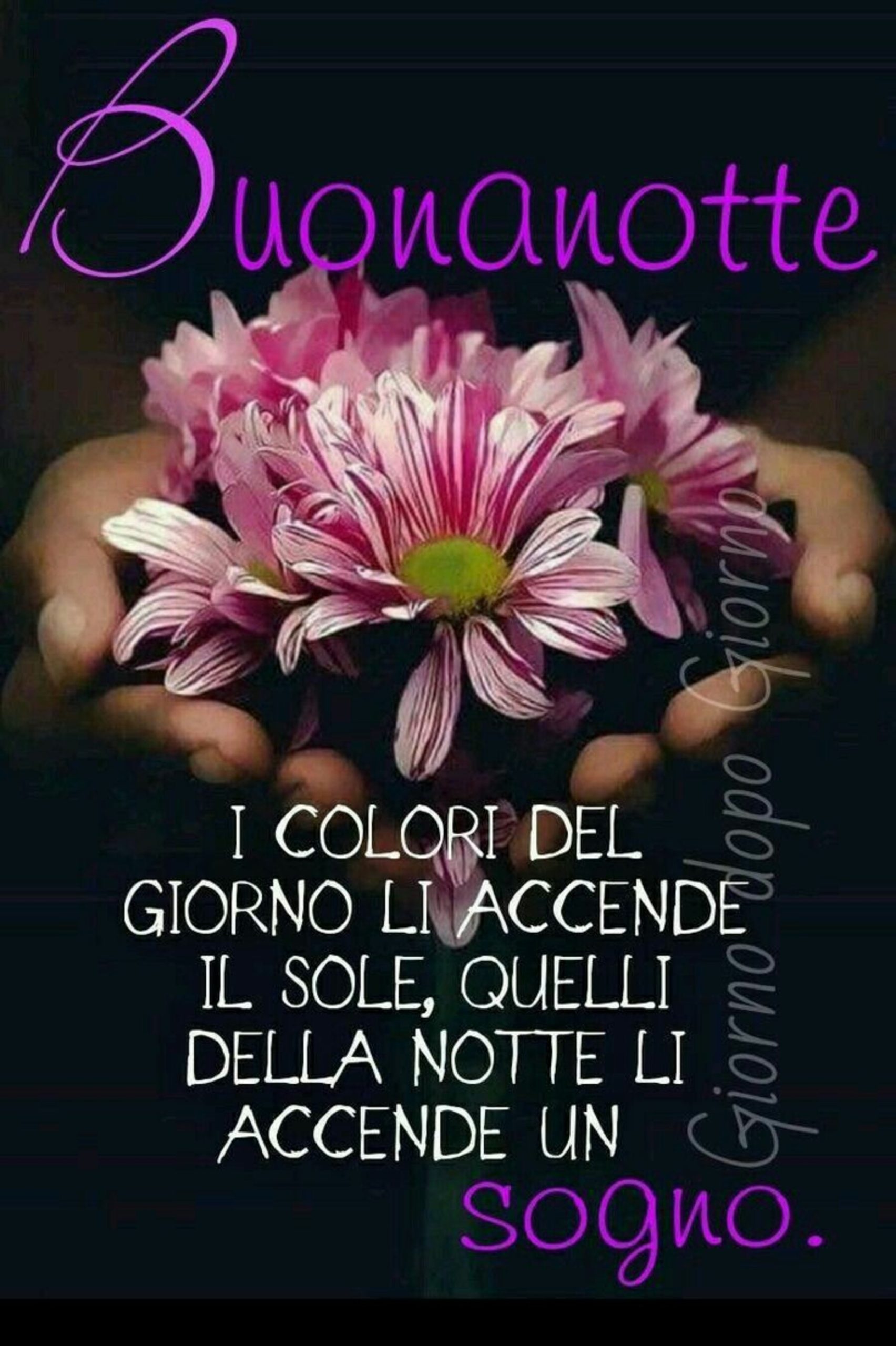 Frasi di buonanotte bellissime 5