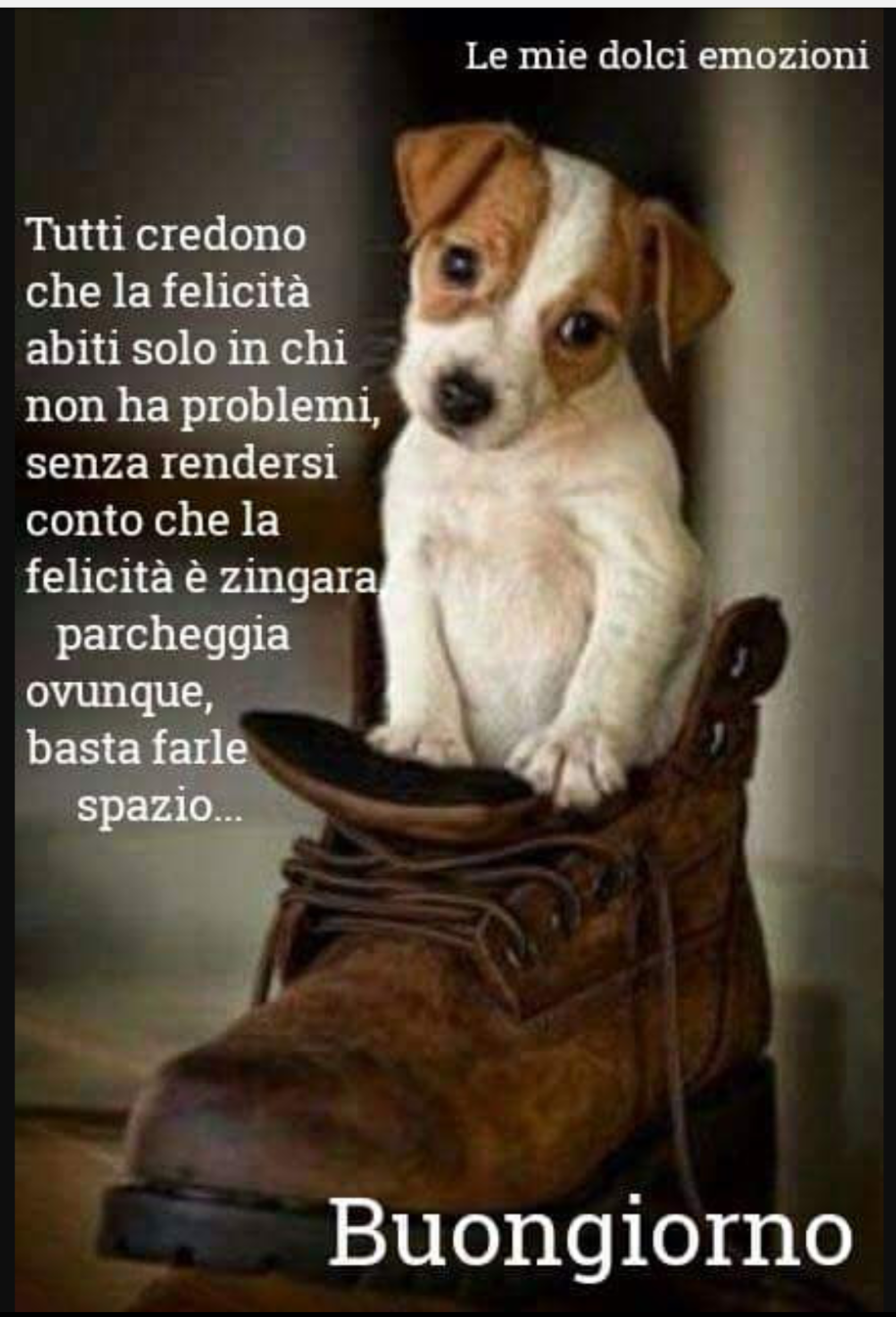 Frasi di buongiorno belle per WhatsApp (1)