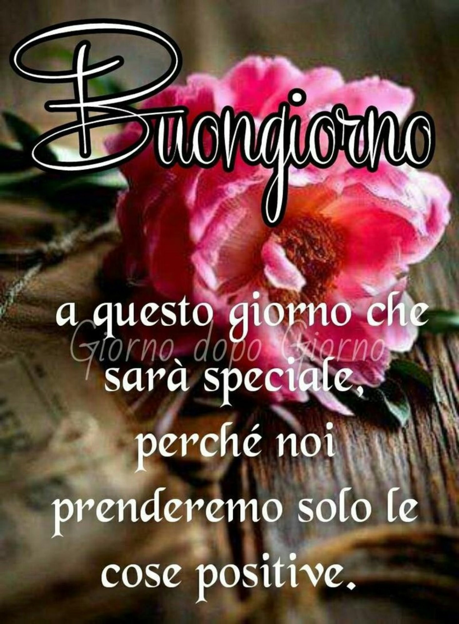 Frasi di buongiorno belle per WhatsApp (16)