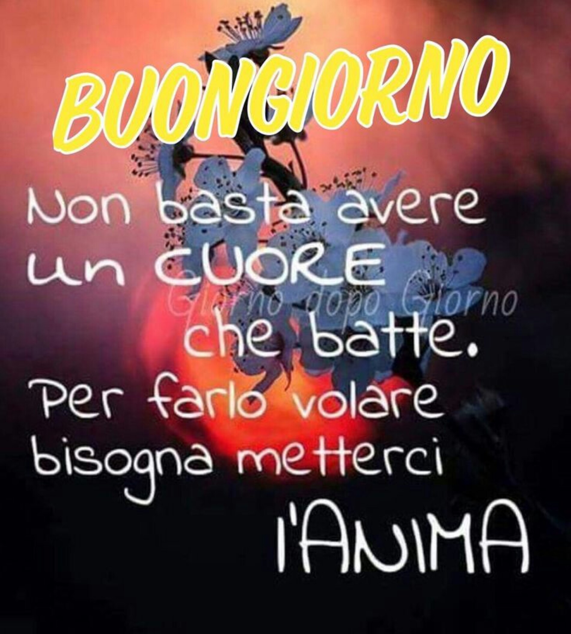 Frasi di buongiorno belle per WhatsApp (2)