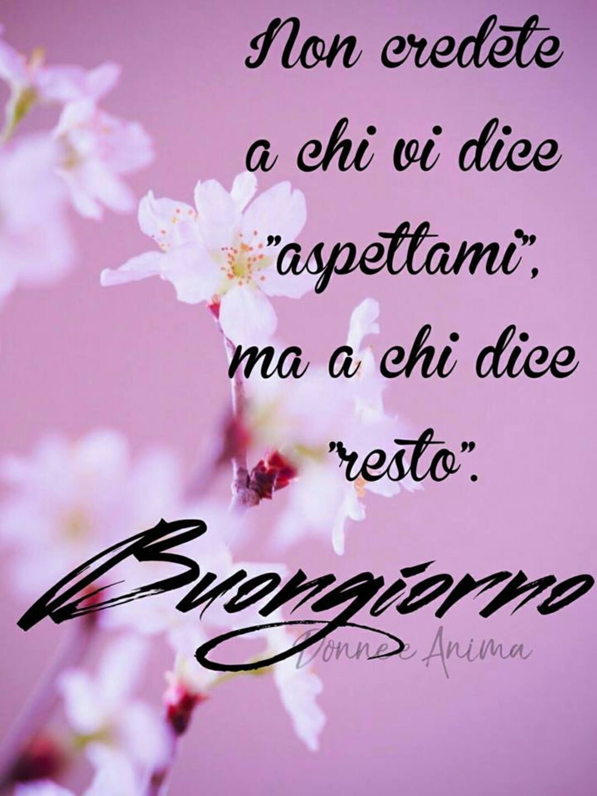 Frasi di buongiorno belle per WhatsApp (7)