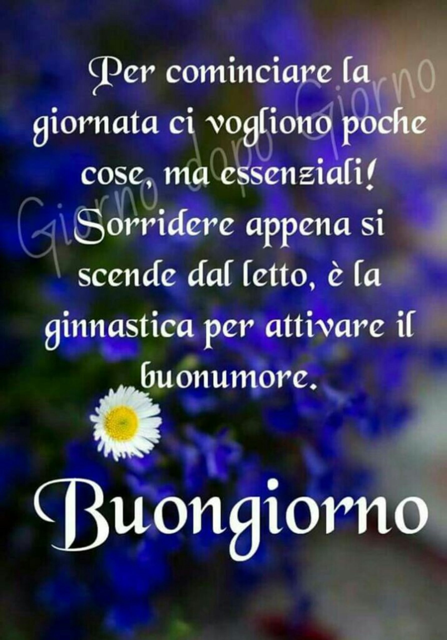 Frasi di buongiorno belle per WhatsApp (9)