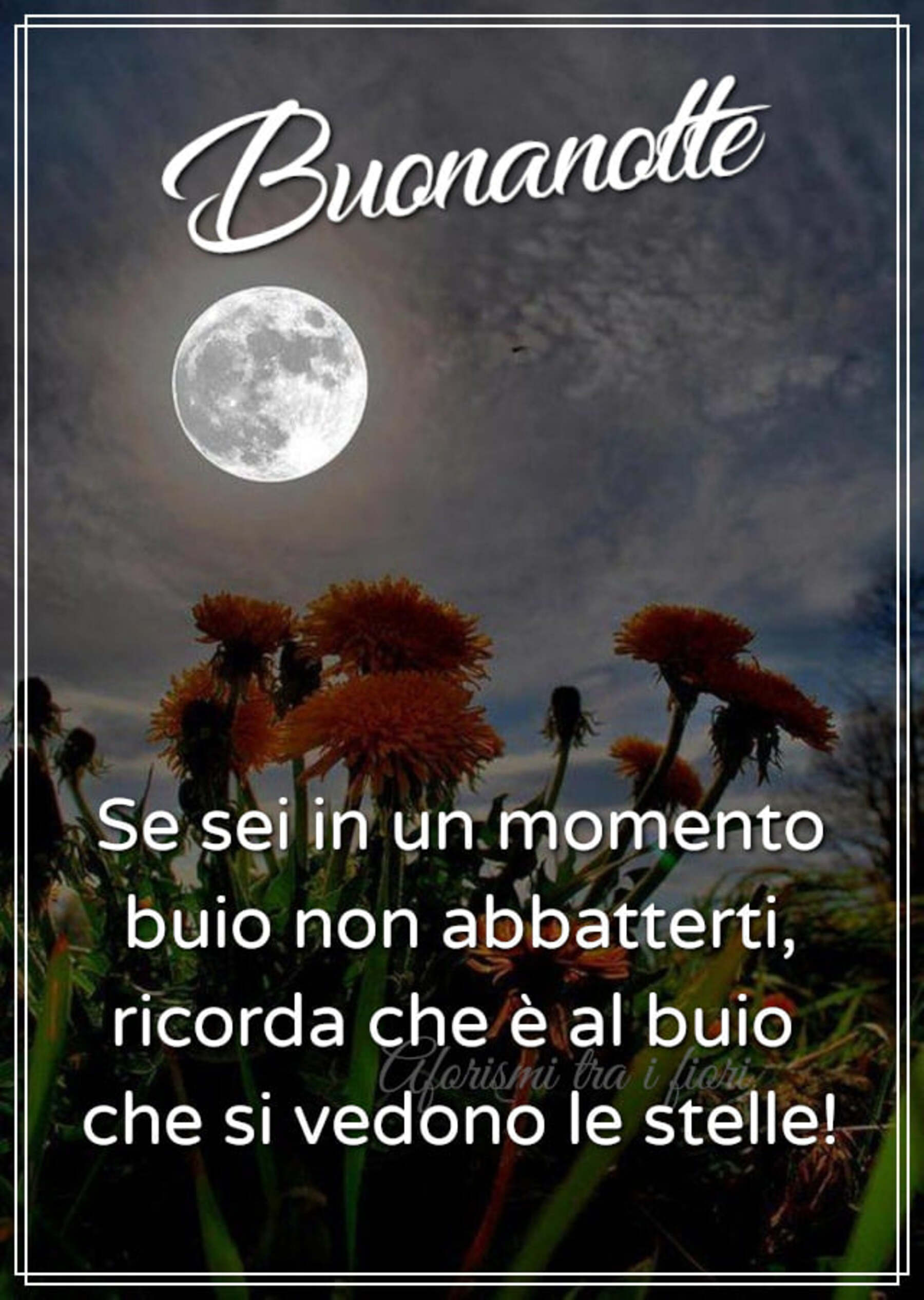 Frasi nuove per la buonanotte (2)