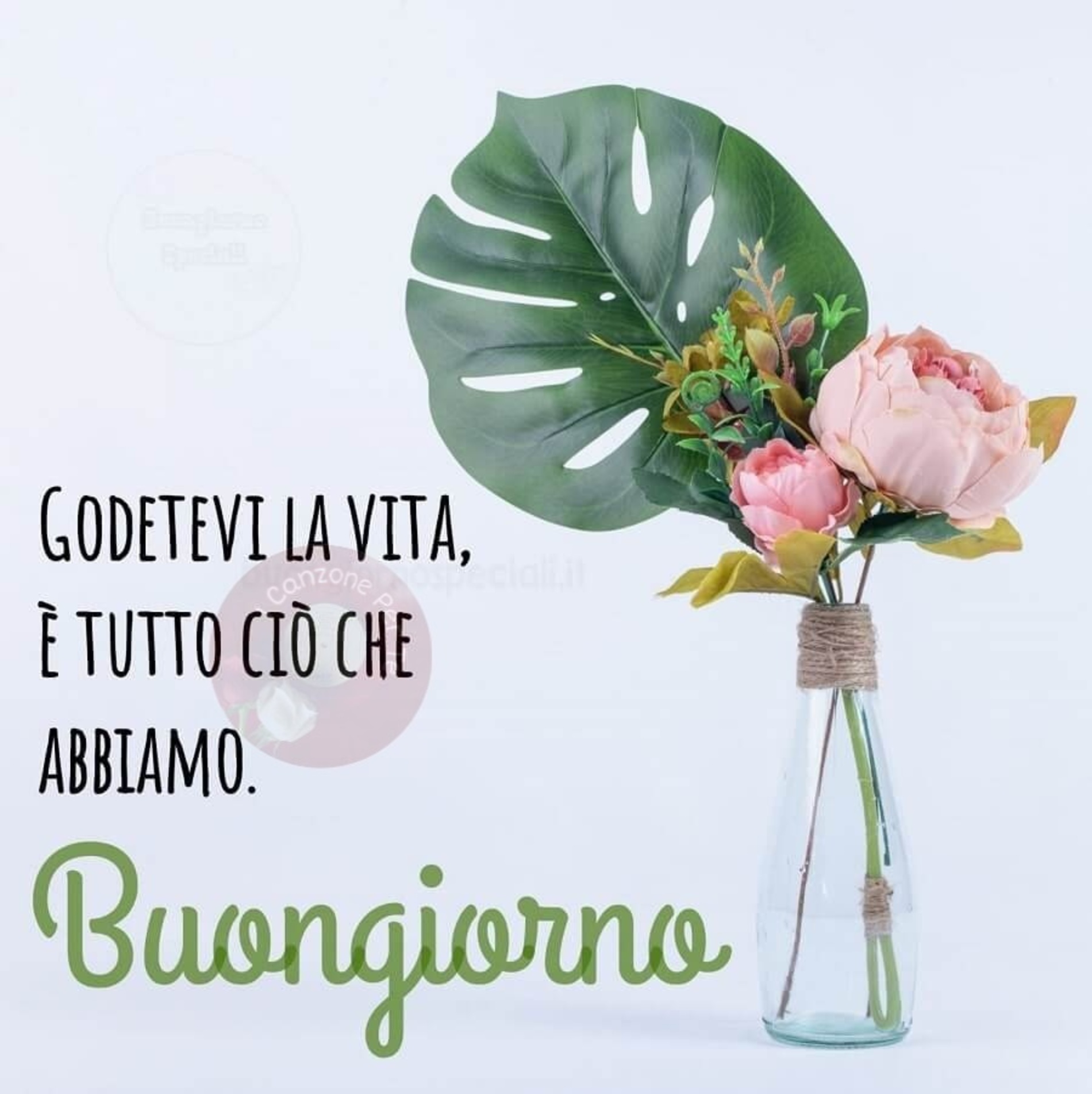 Godetevi la vita è tutto ciò che abbiamo buona giornata