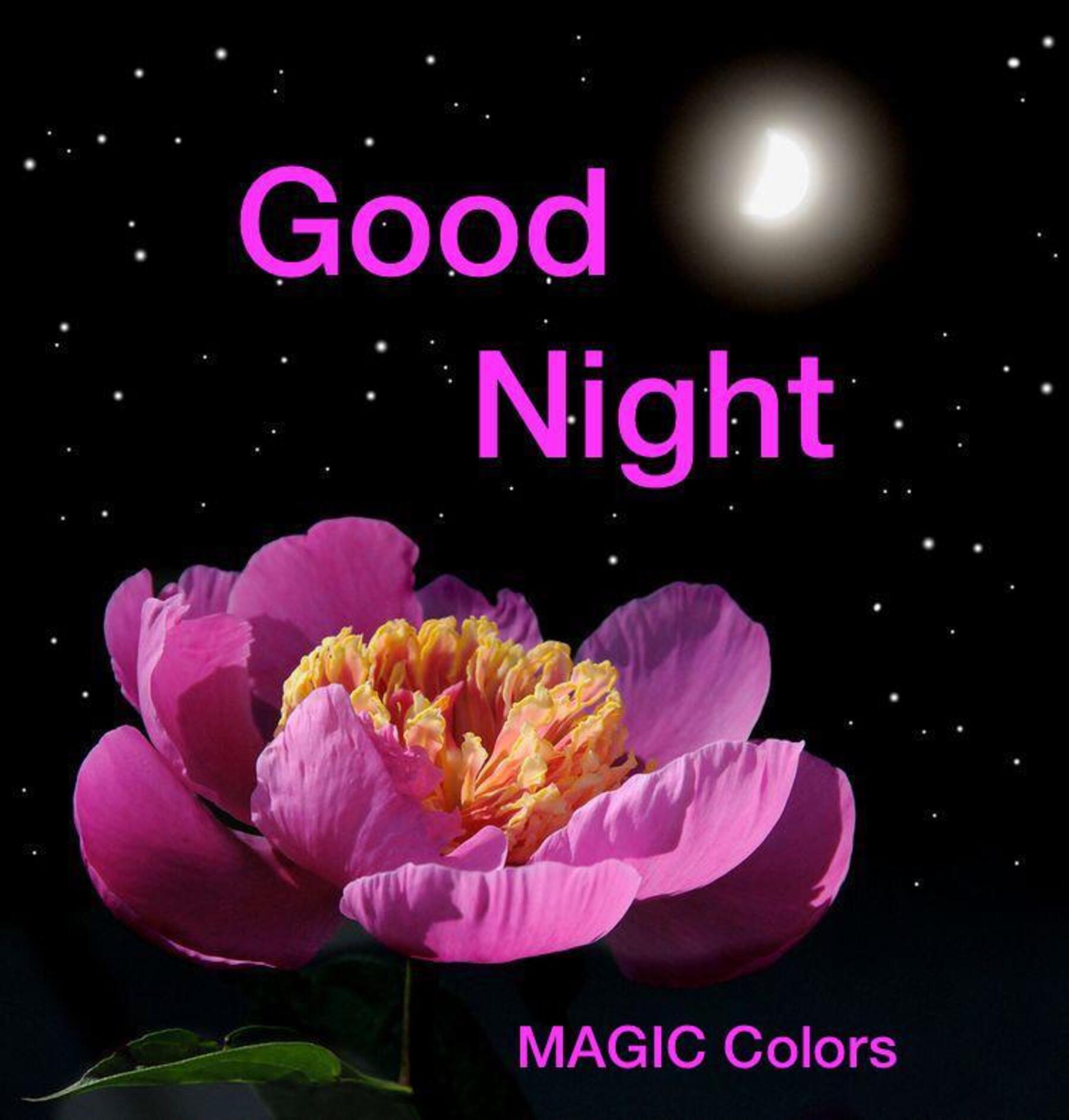 Good Night magic colors