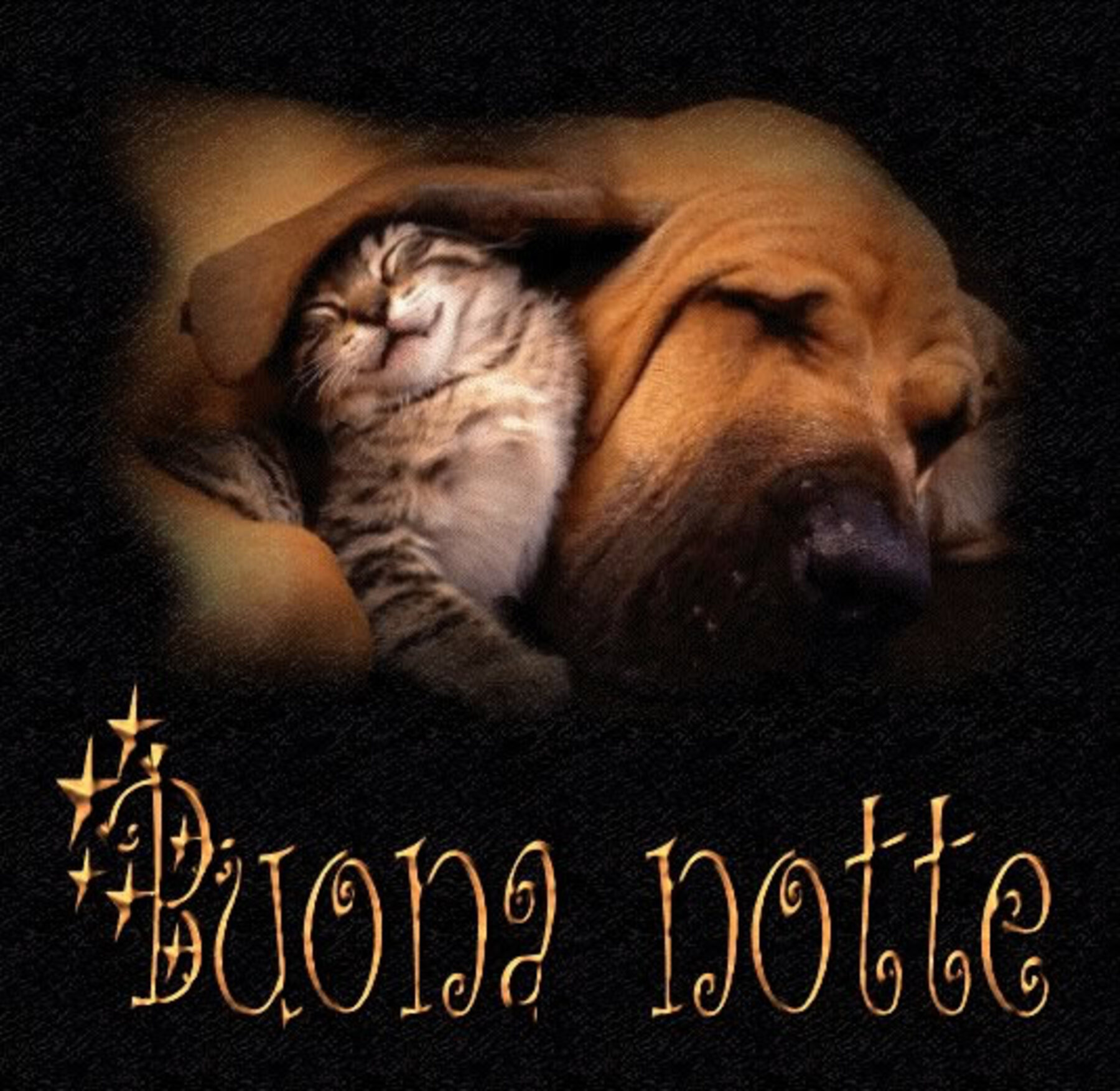 Ho staccato la spina buonanotte 5