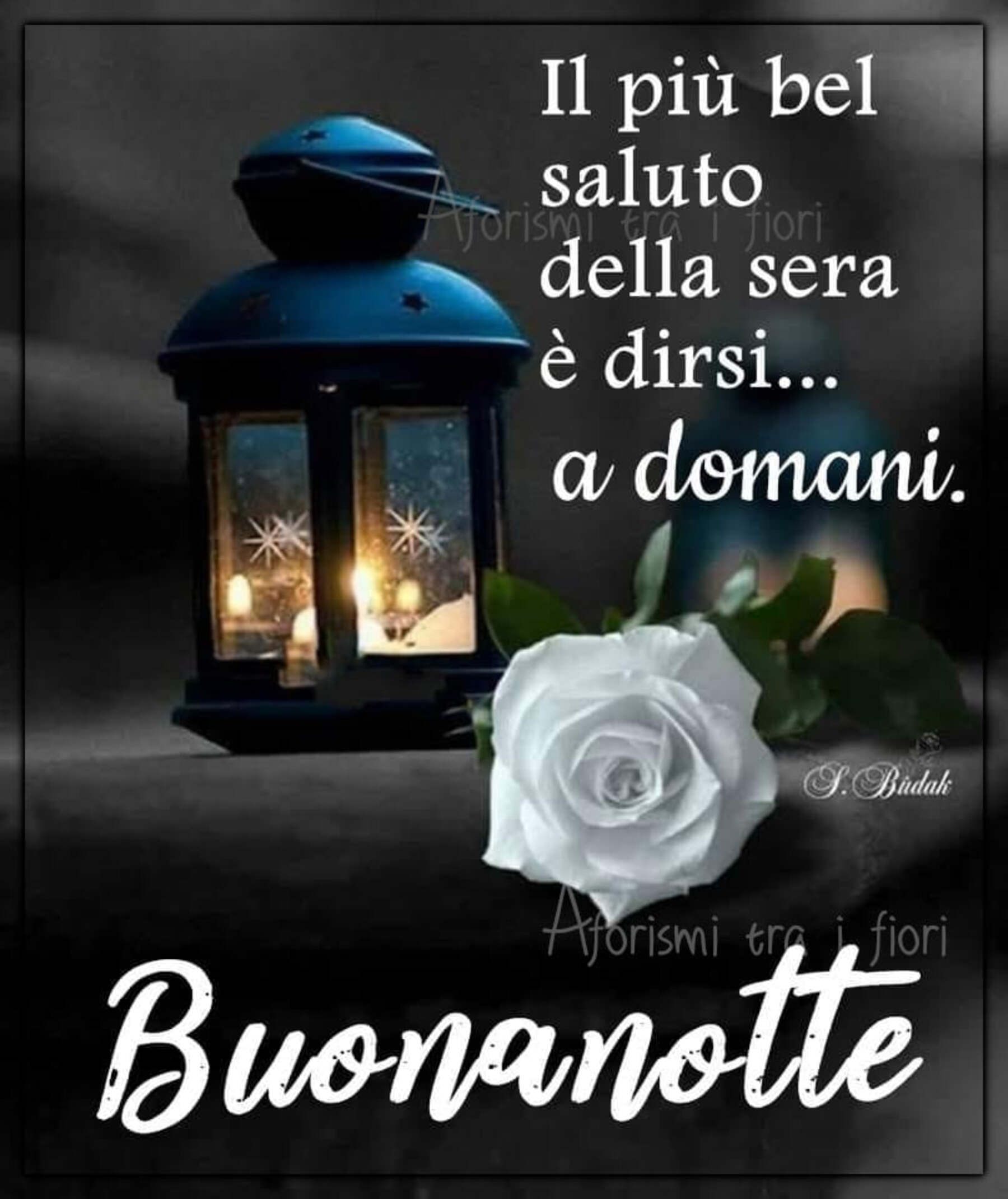 Ho staccato la spina buonanotte 6