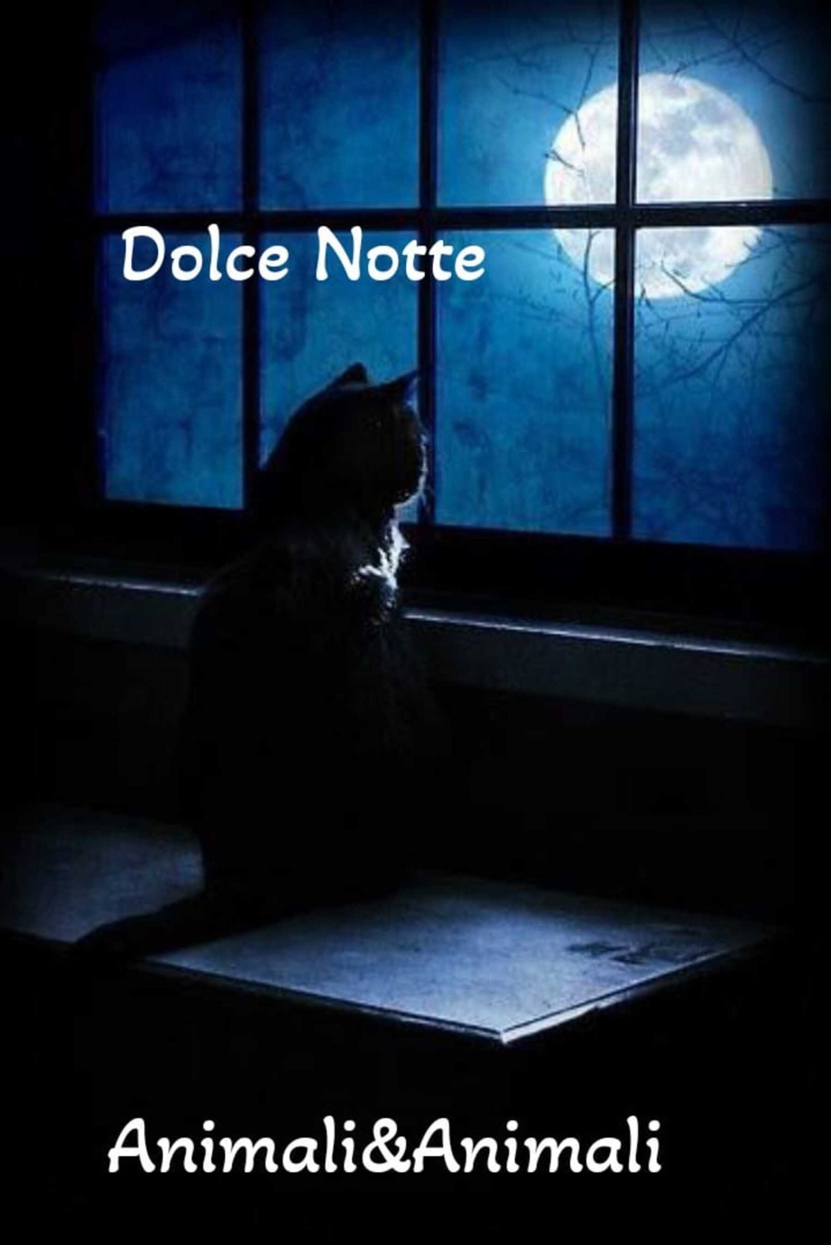 Immaginette belle di buonanotte 10