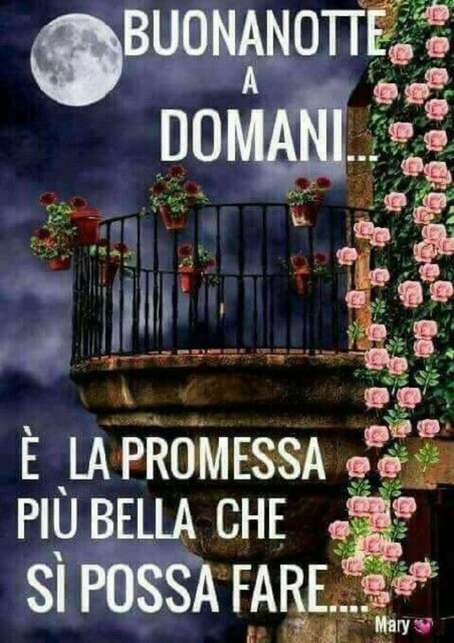 Immagini con frasi di buonanotte 13