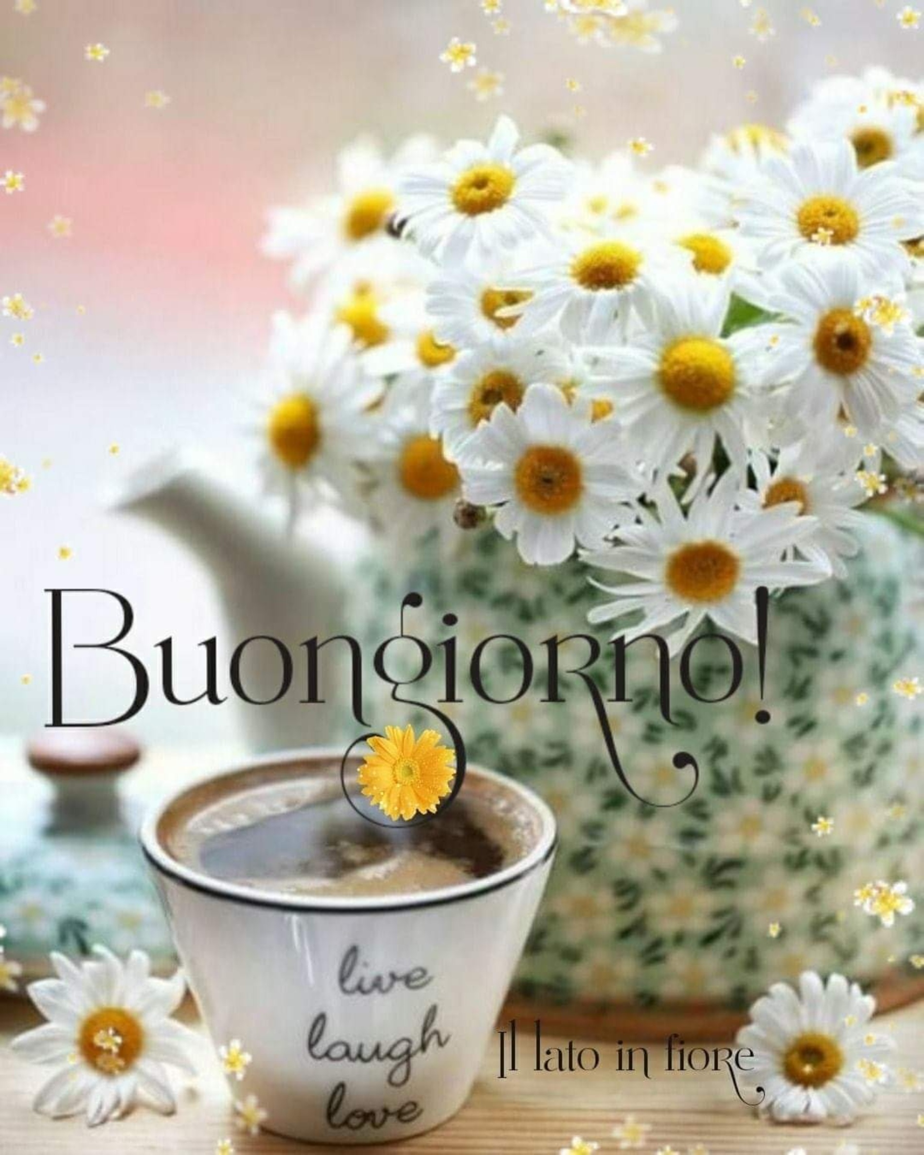 Immagini di buongiorno belle coi fiori (11)