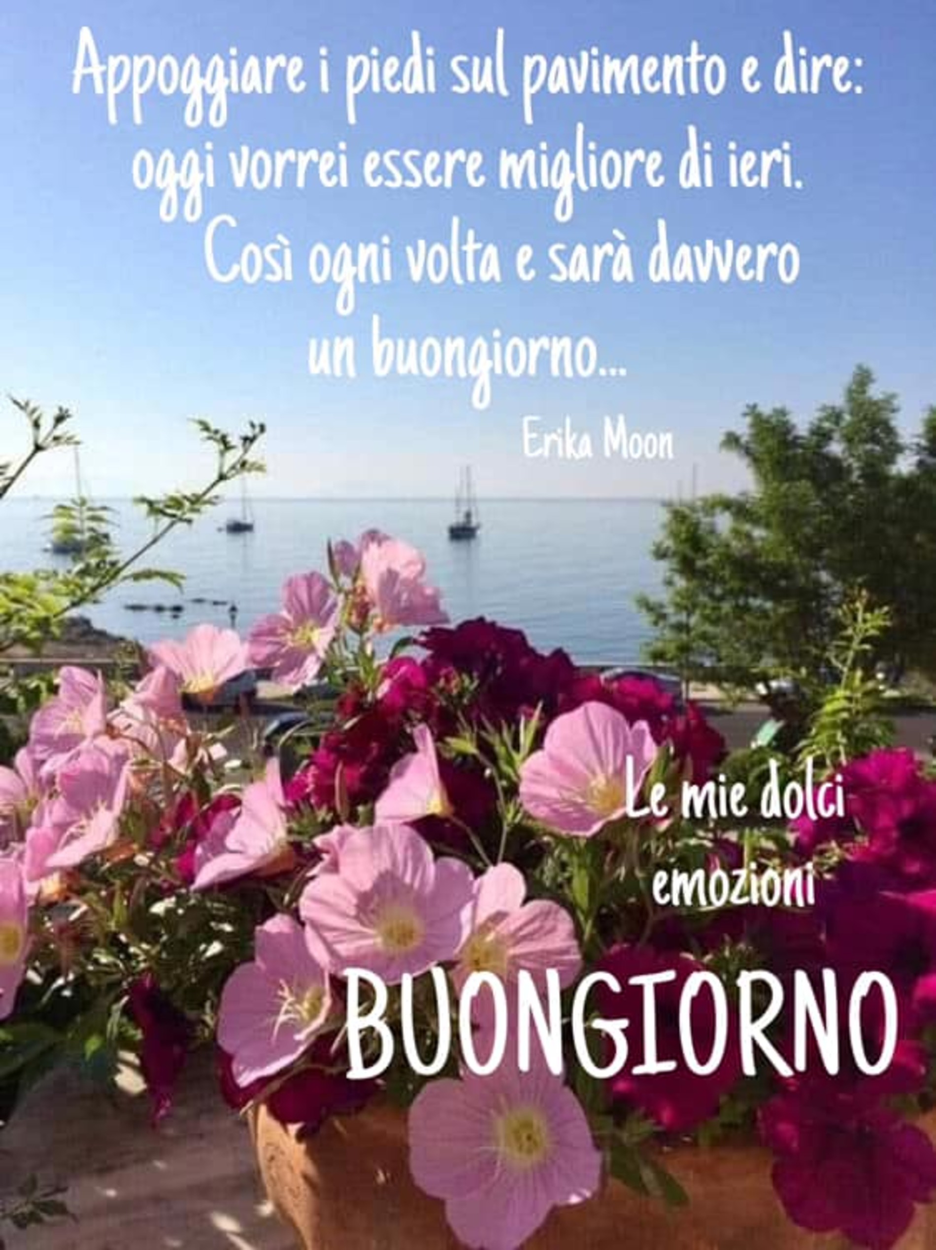 Immagini di buongiorno bellissime 7