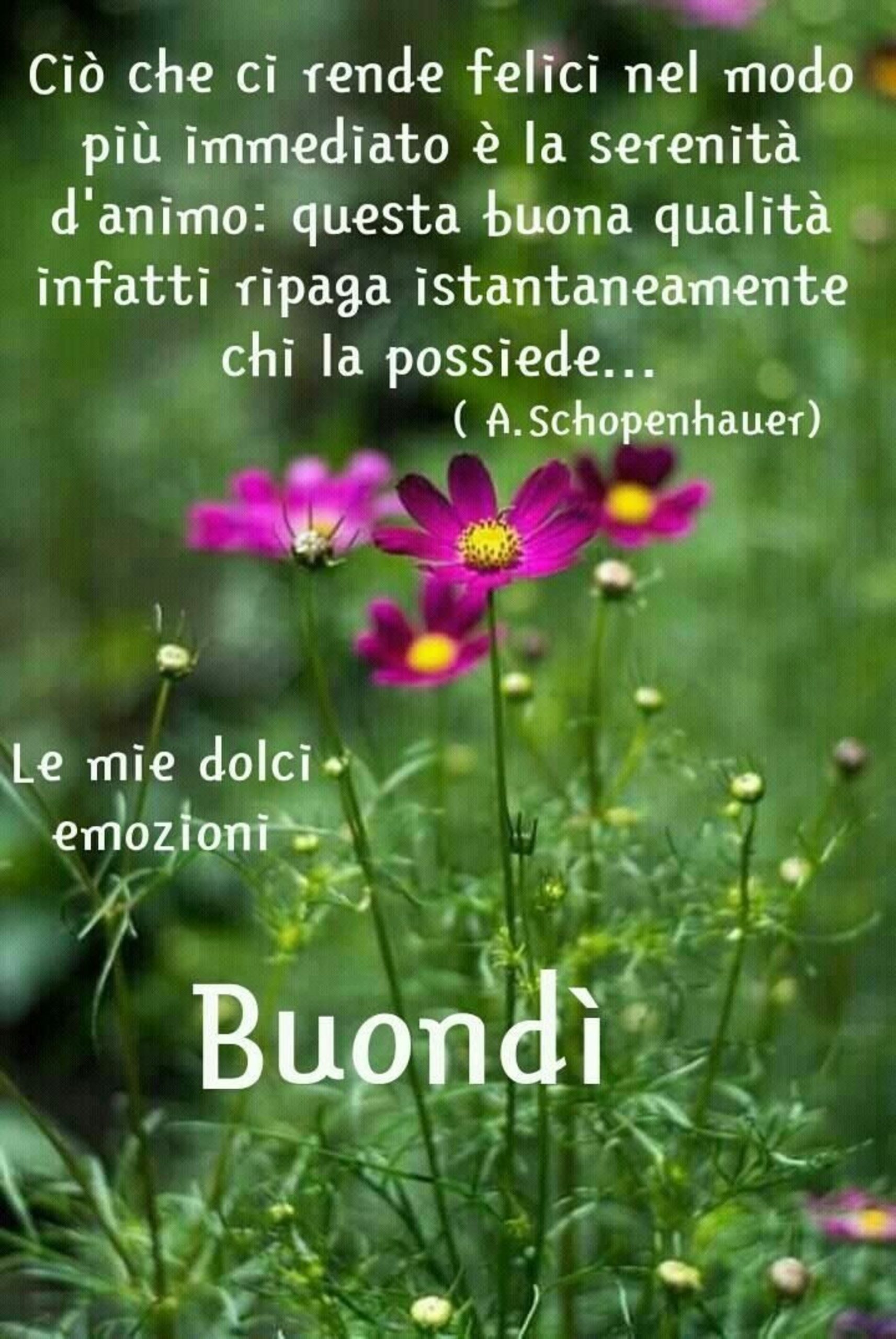 Immagini di buongiorno e buongiornissimo 6