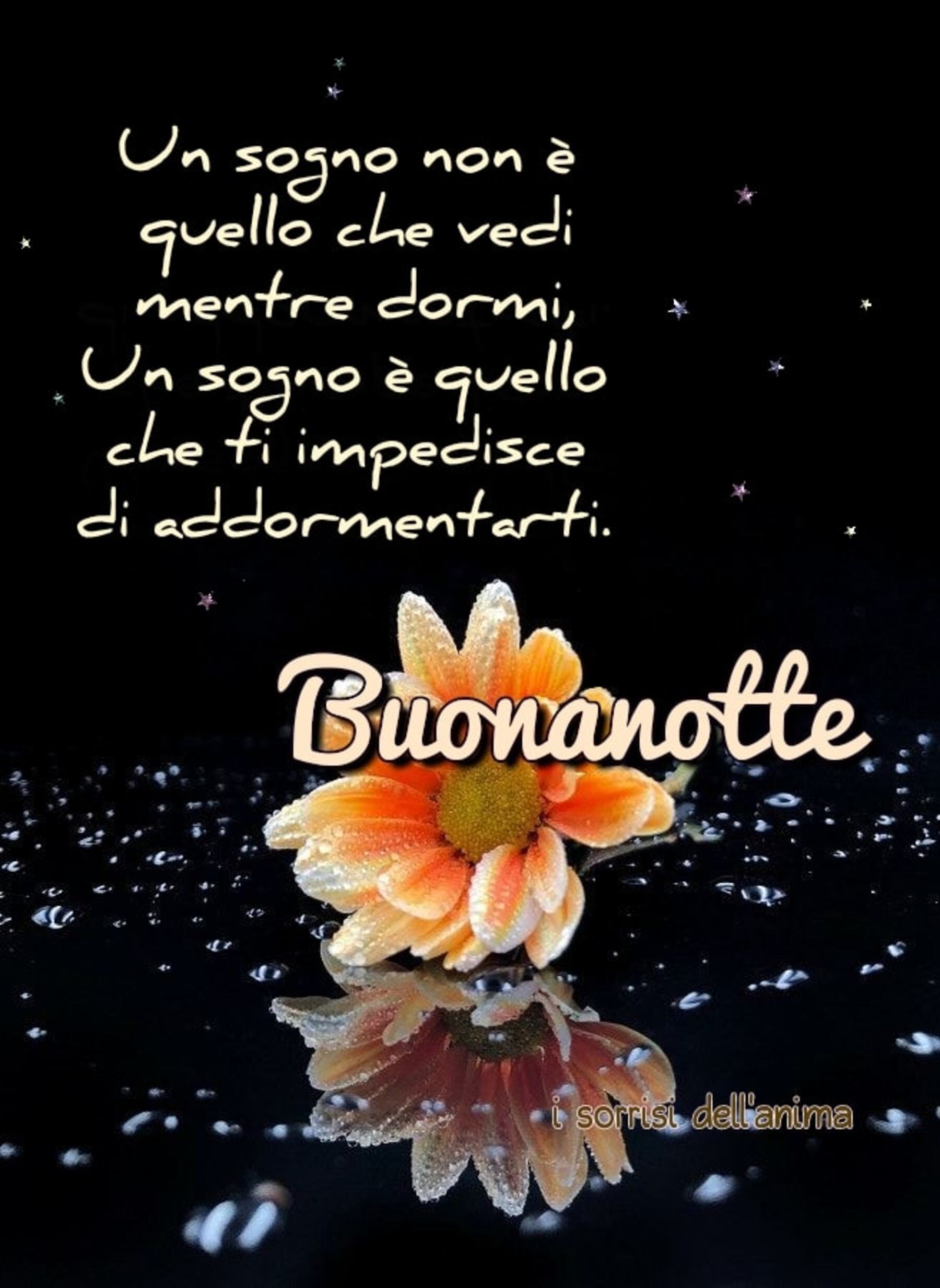 Immagini notte 5