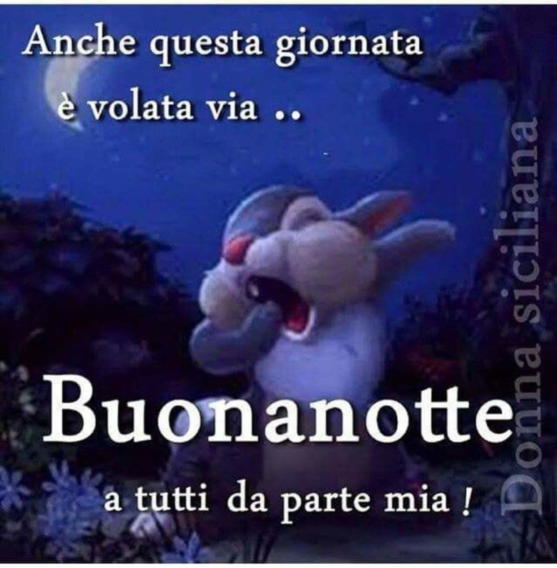 Immagini nuovissime della buonanotte 12