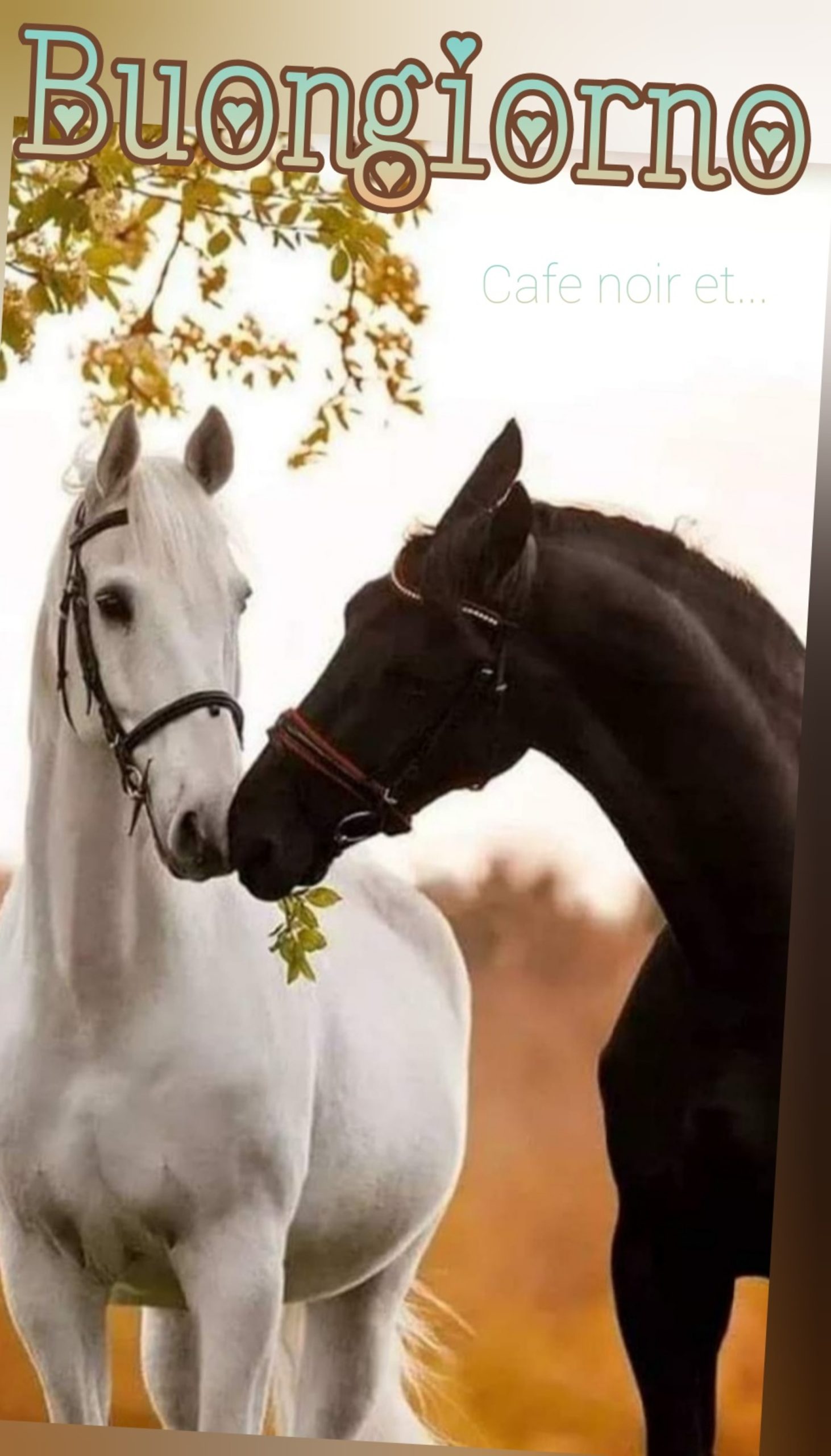 Immagini per il buongiorno con gli animali (22)