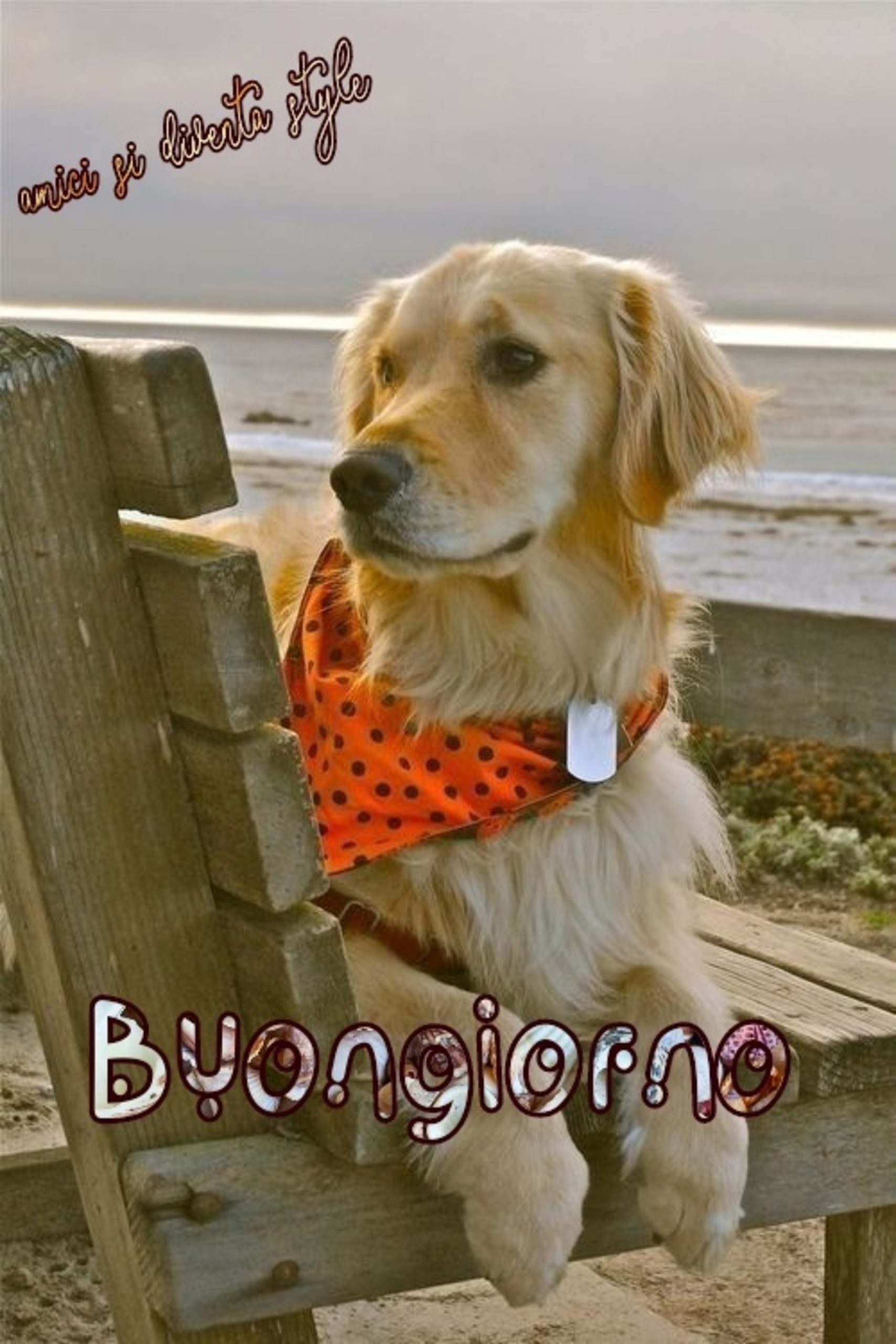 Immagini per il buongiorno con gli animali (5)