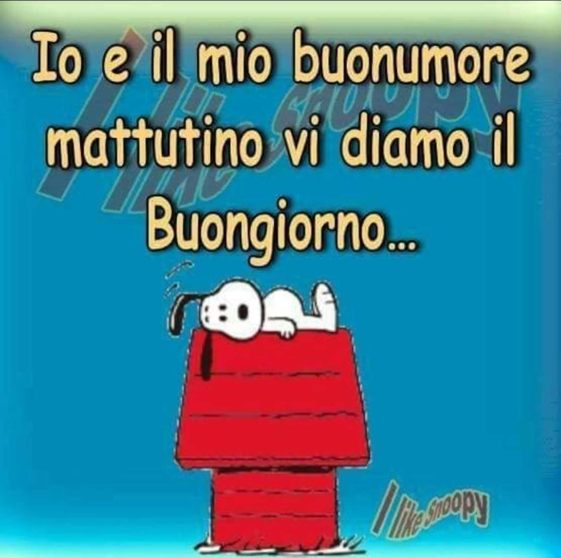 Io e il mio buonumore mattutino vi diamo il buongiorno