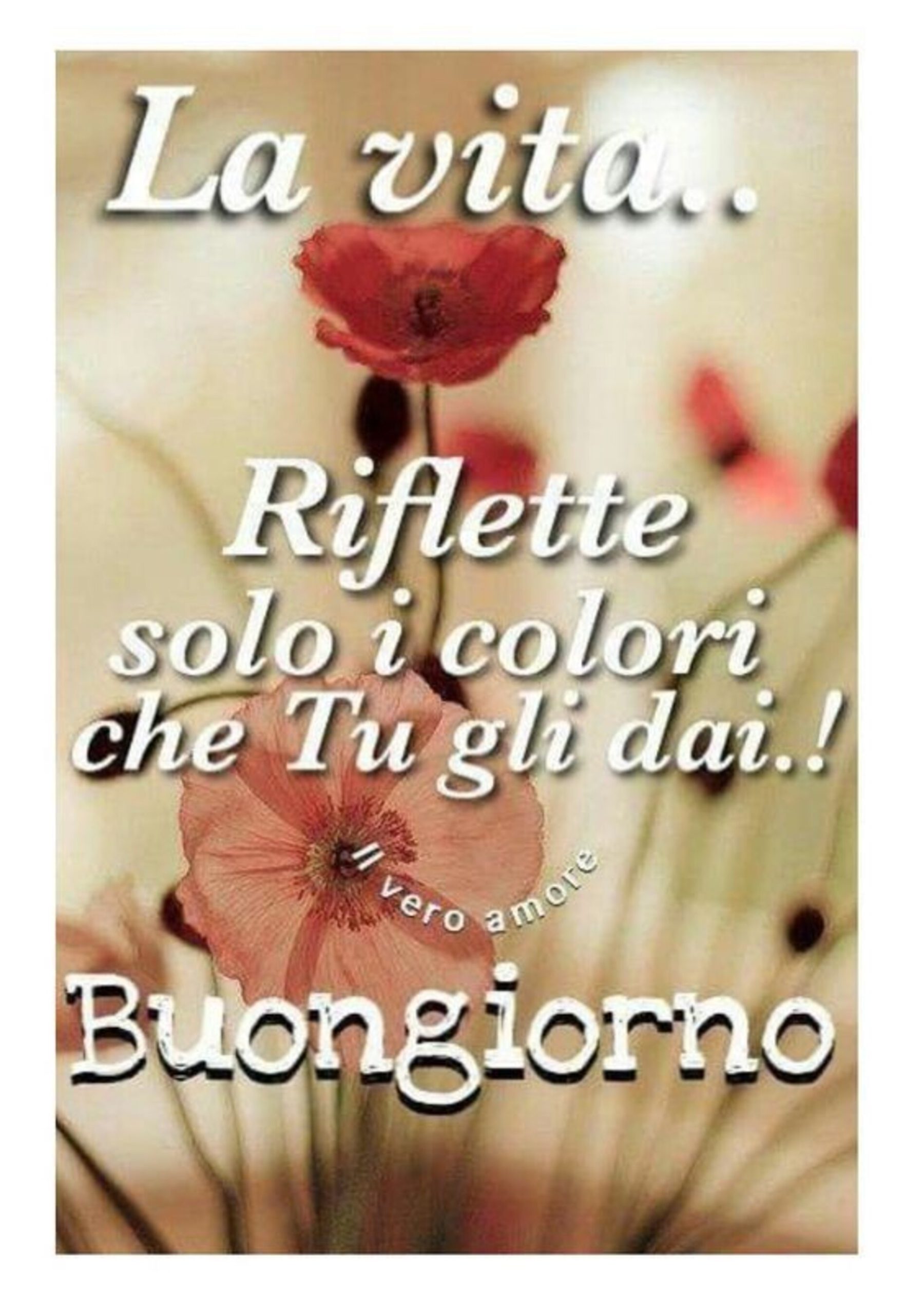 La vita riflette solo i colori che tu gli dai buongiorno