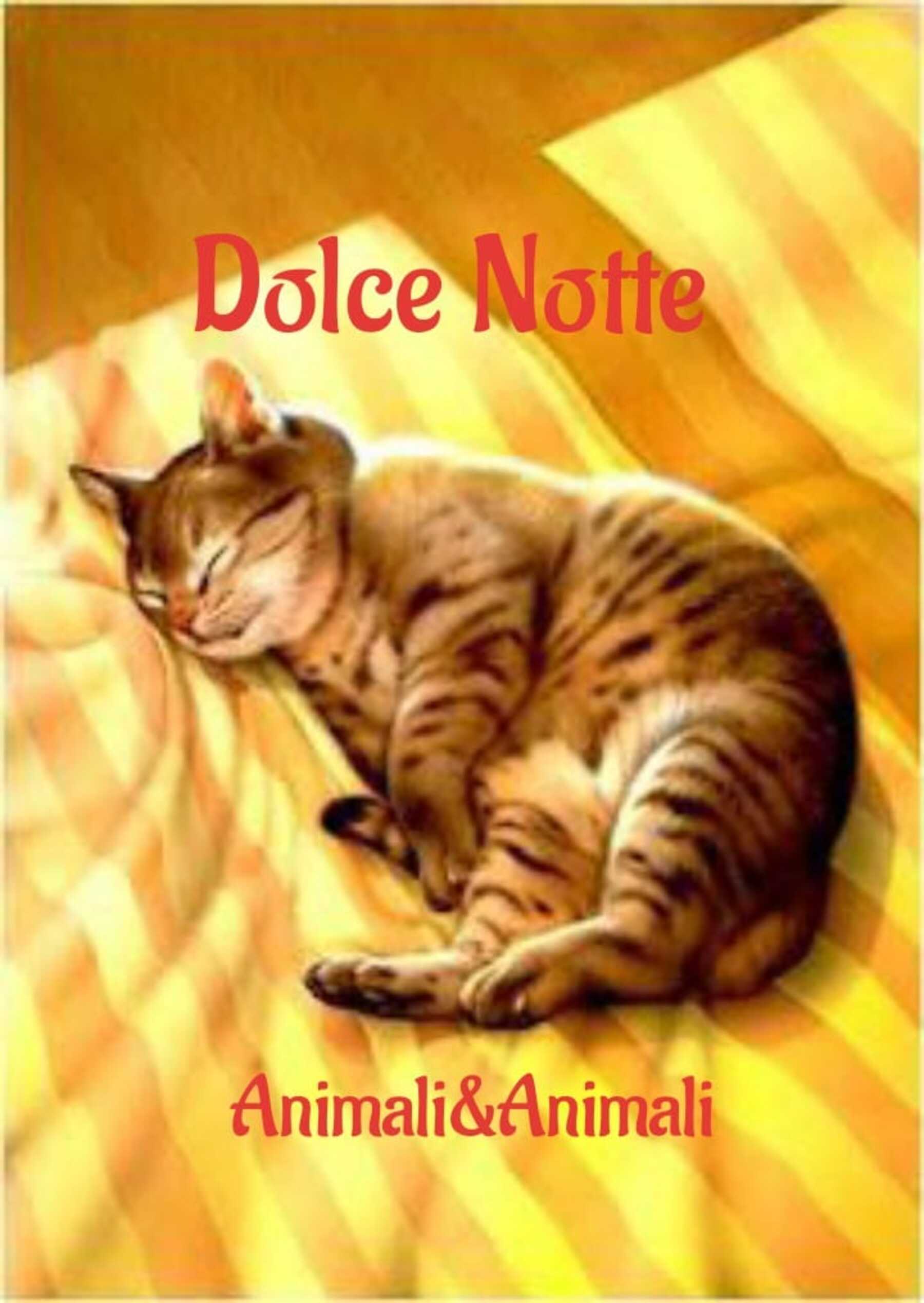 Le ultime immagini di buonanotte 10