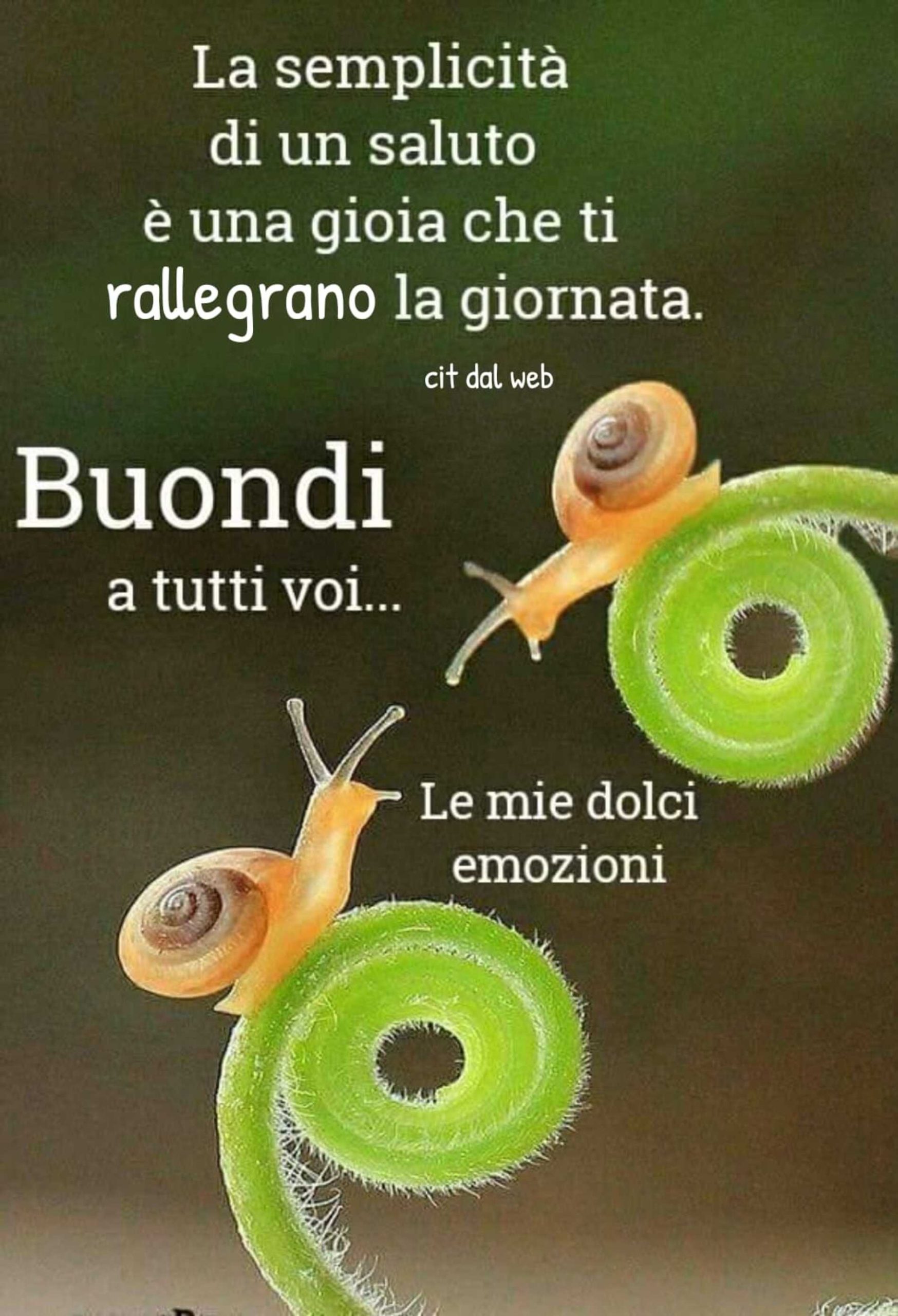 Link di buongiorno per WhatsApp 16