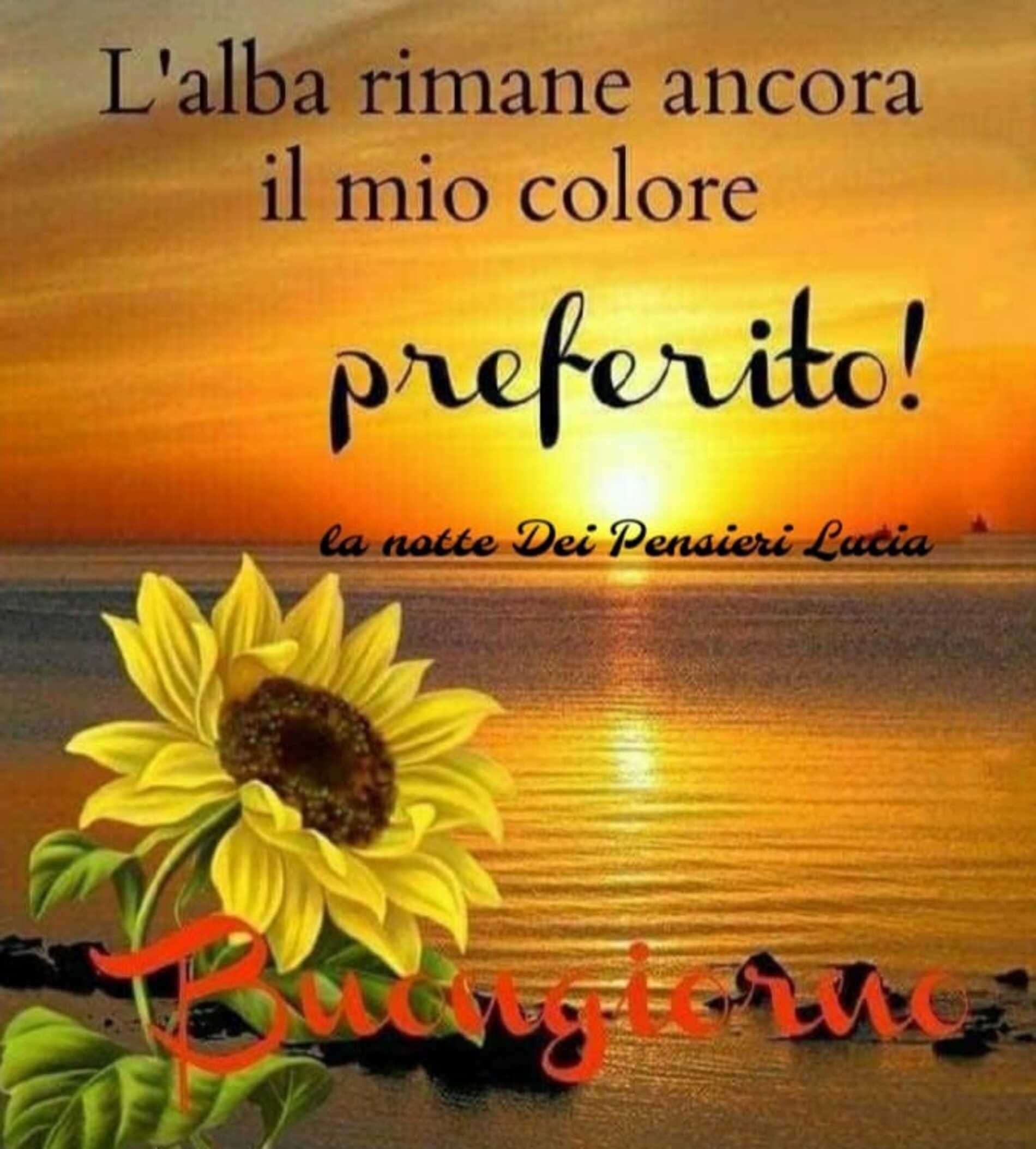 Link di buongiorno per WhatsApp 3