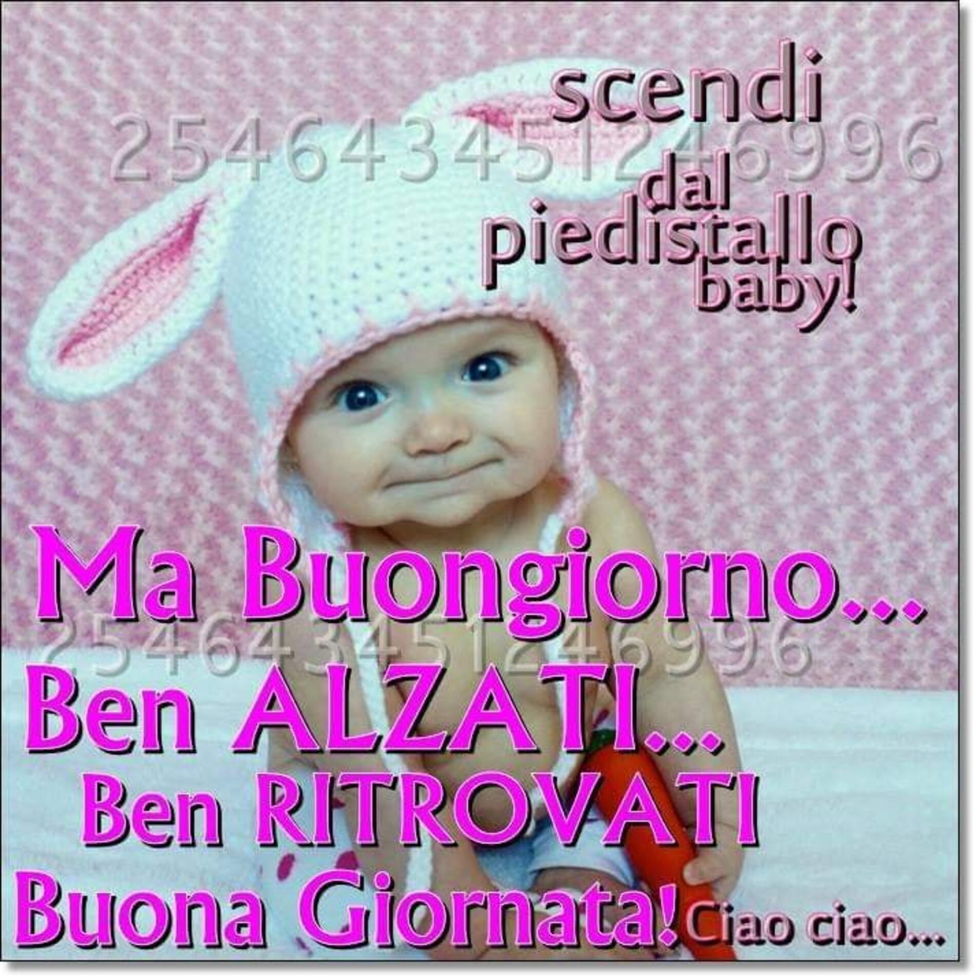 Ma buongiorno ben alzati ben ritrovati buona giornata