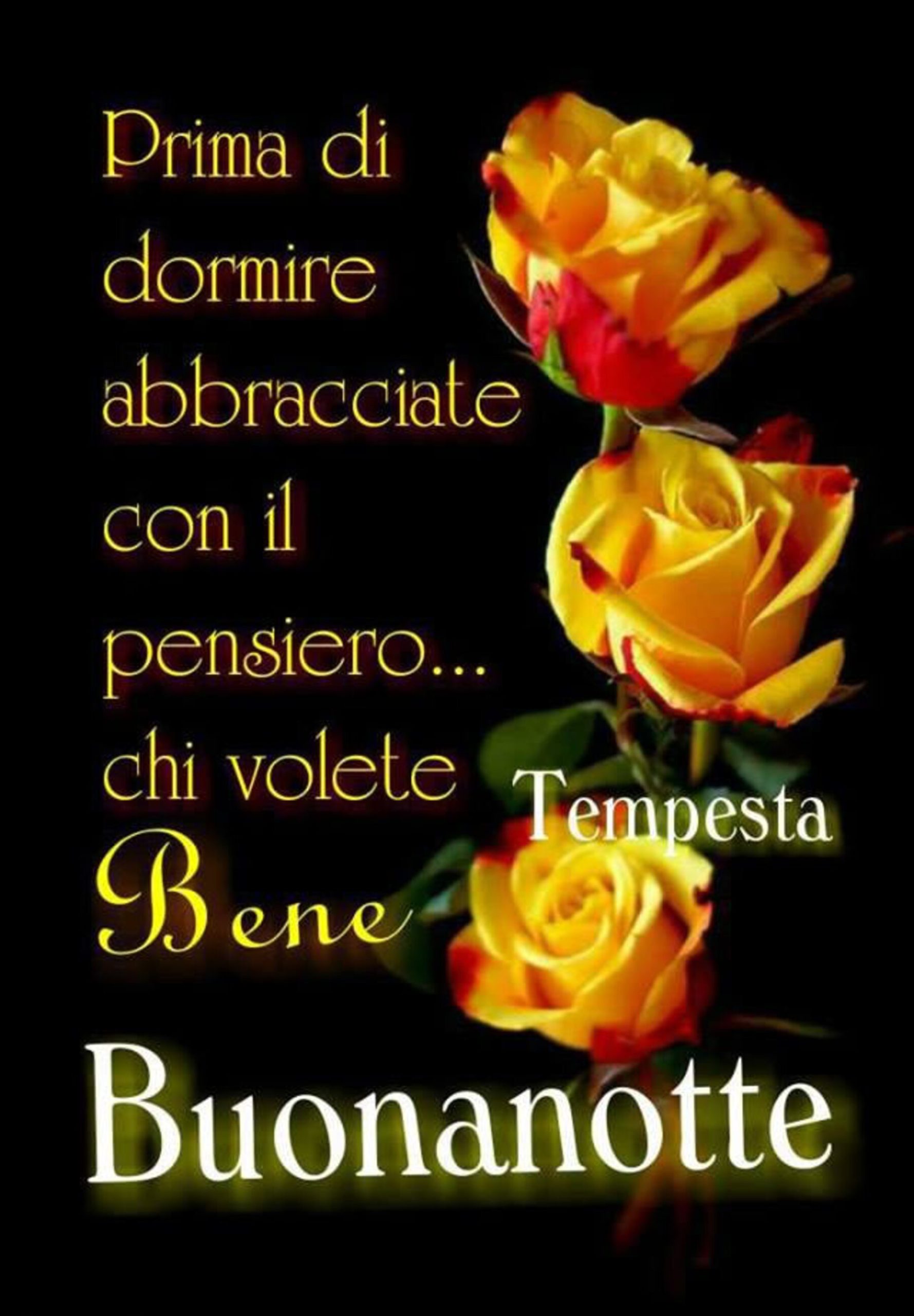 Magica Notte amici di Facebook 2