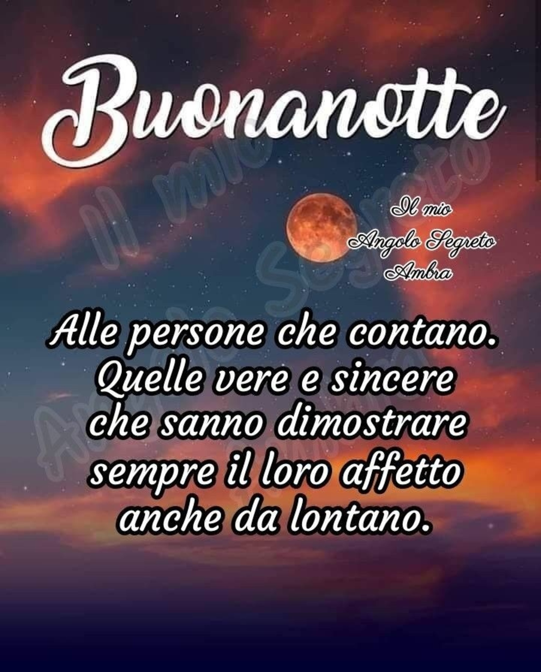 Magica Notte amici di Facebook 7