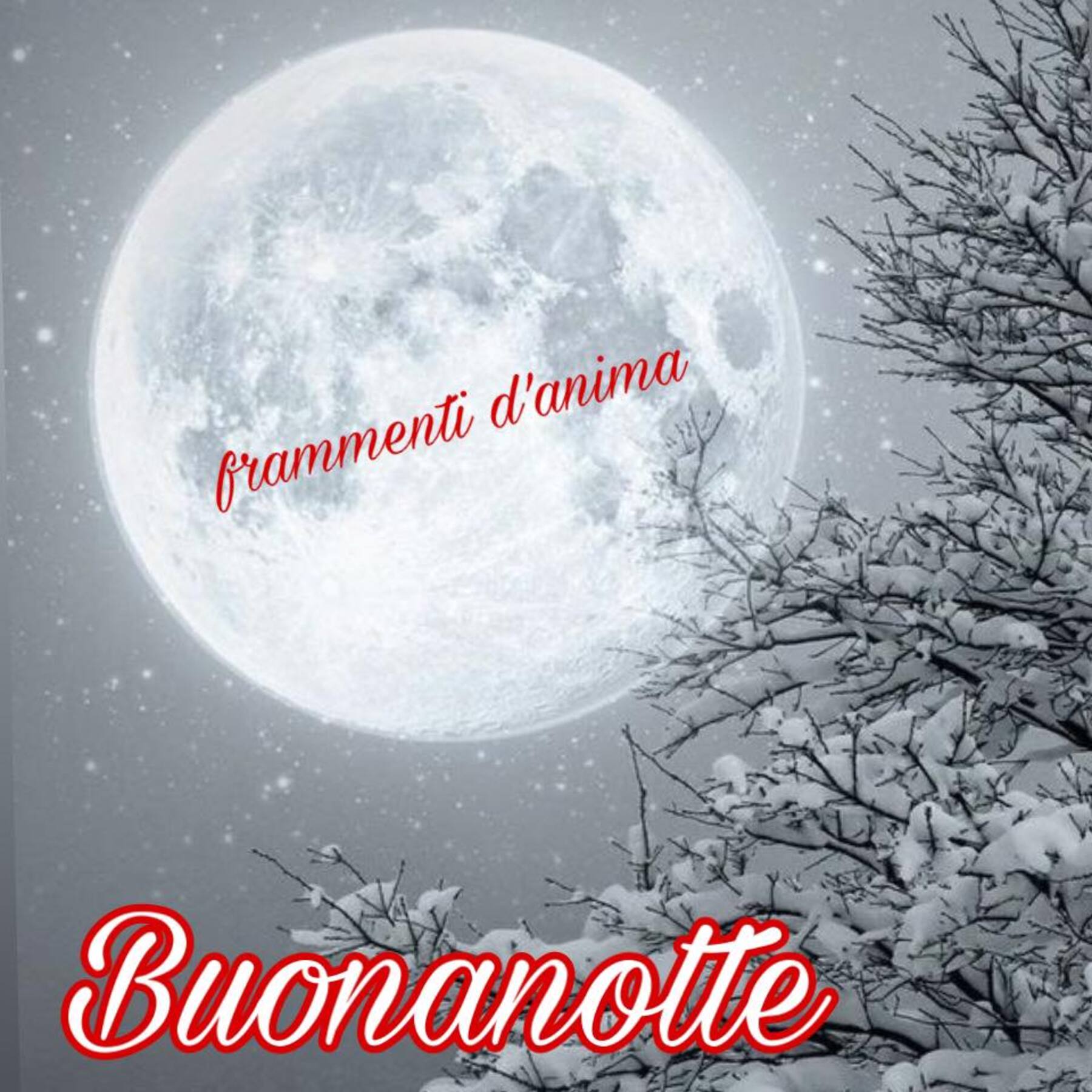 Magica Notte amici di Facebook 8