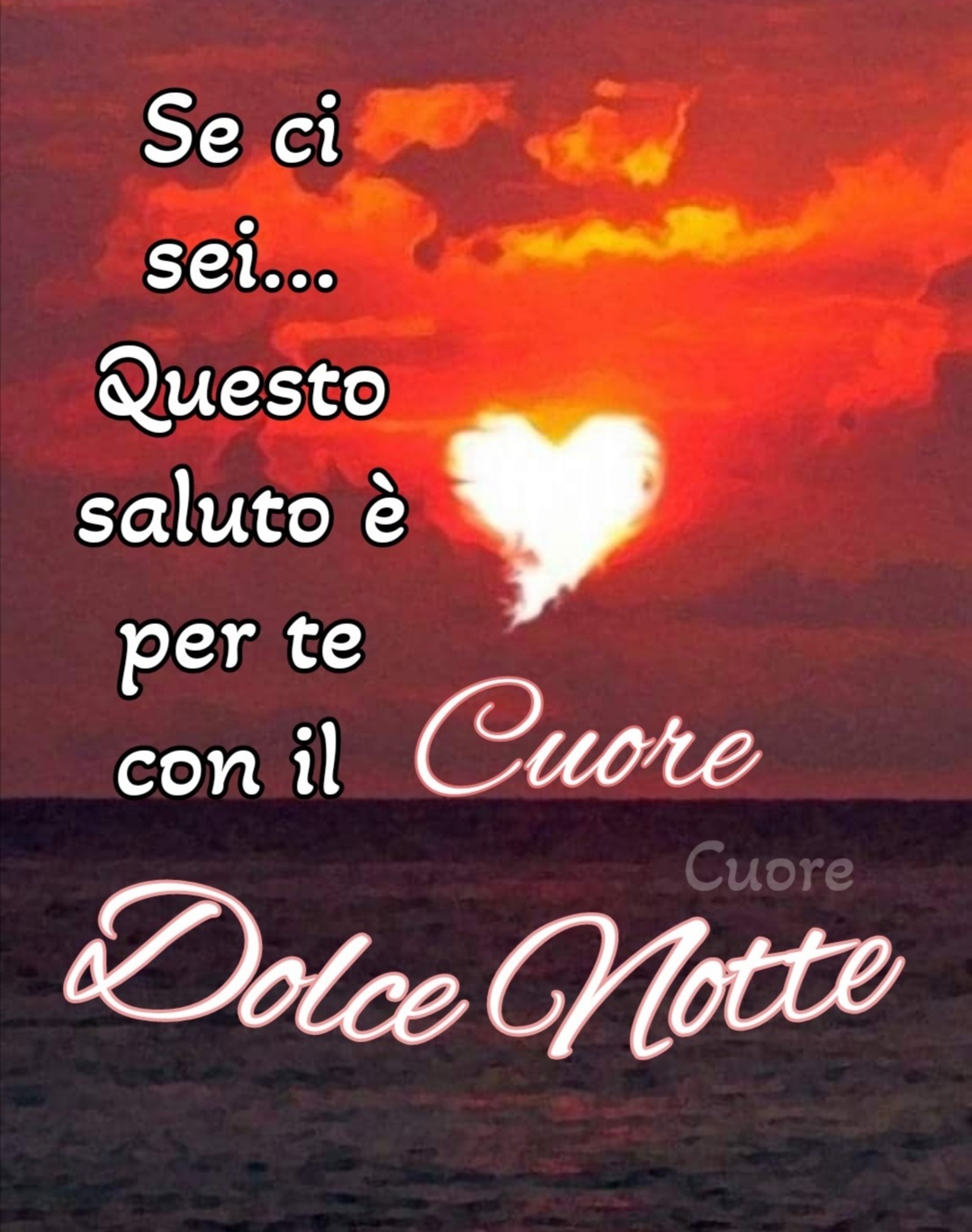 Magica notte e magici sogni 11