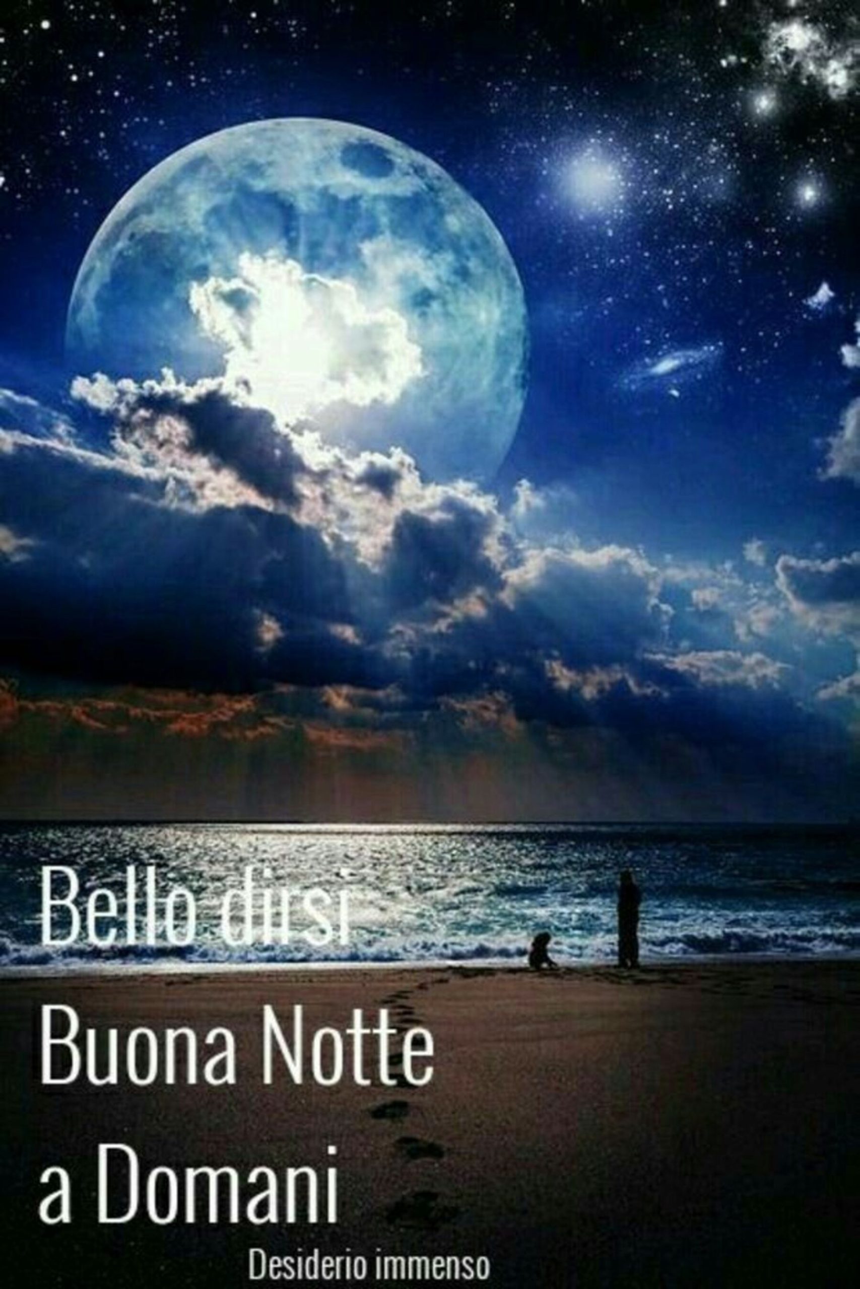 Magica notte e magici sogni 12