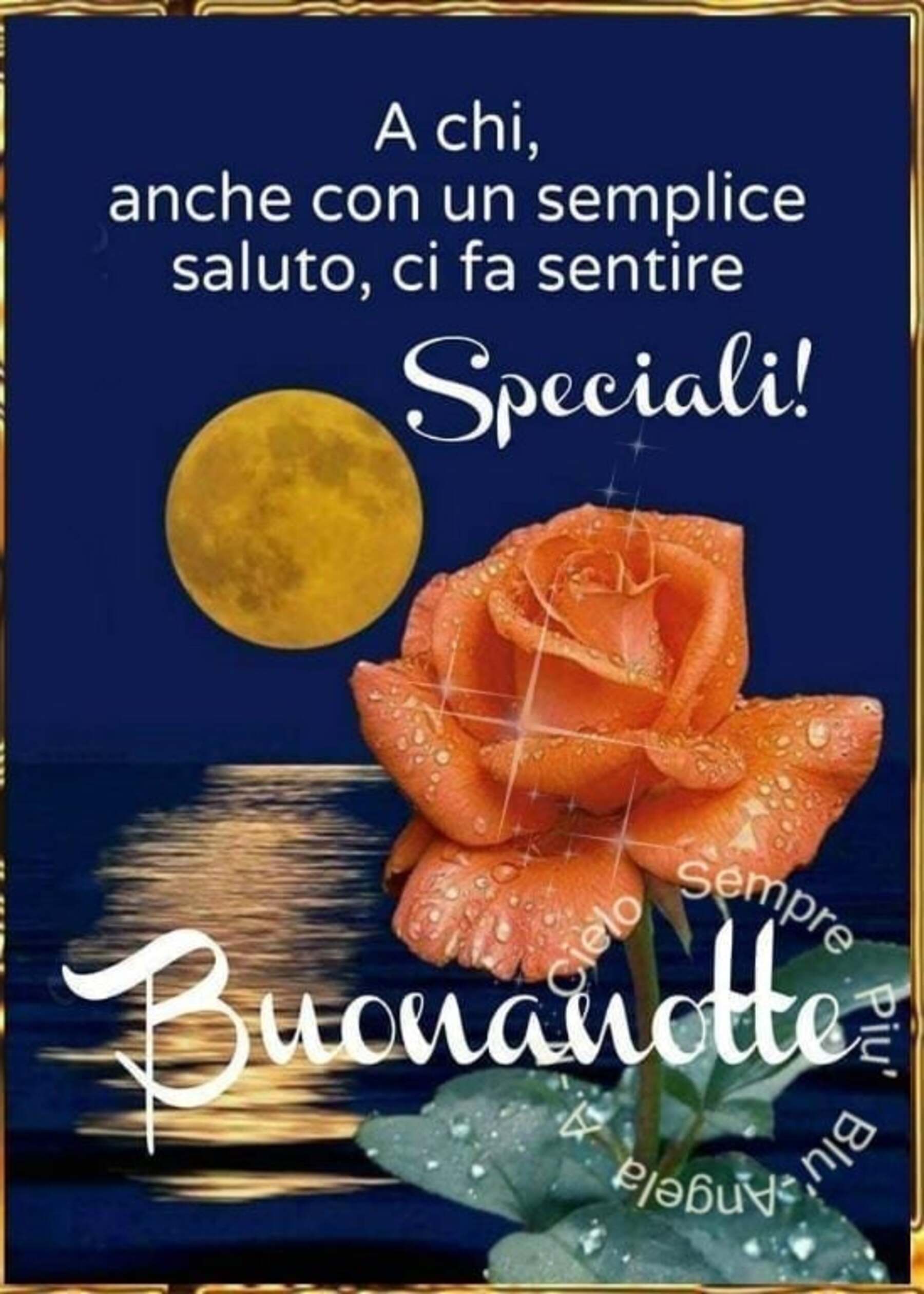 Magica notte e magici sogni 13