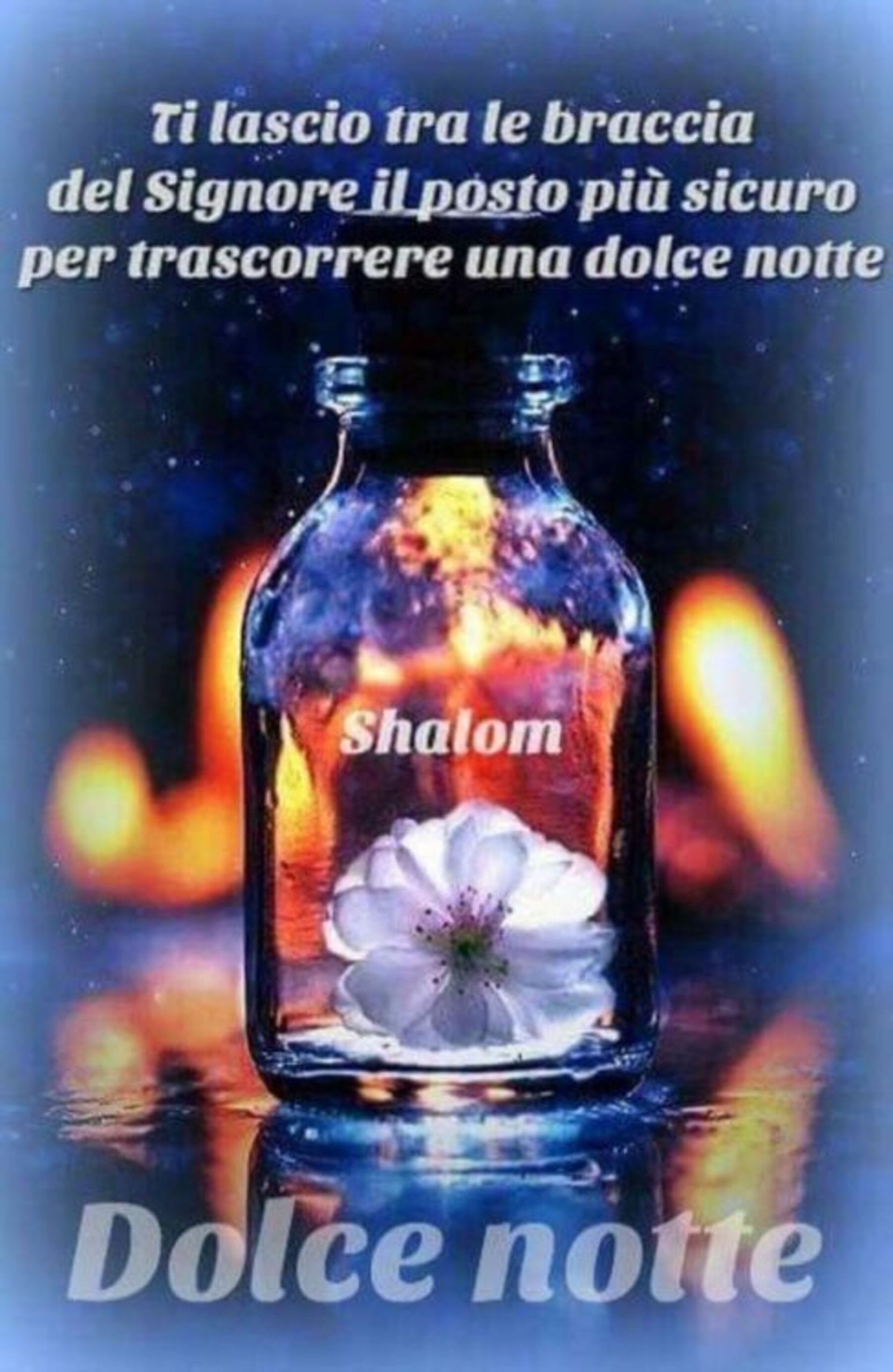 Magica notte e magici sogni 14